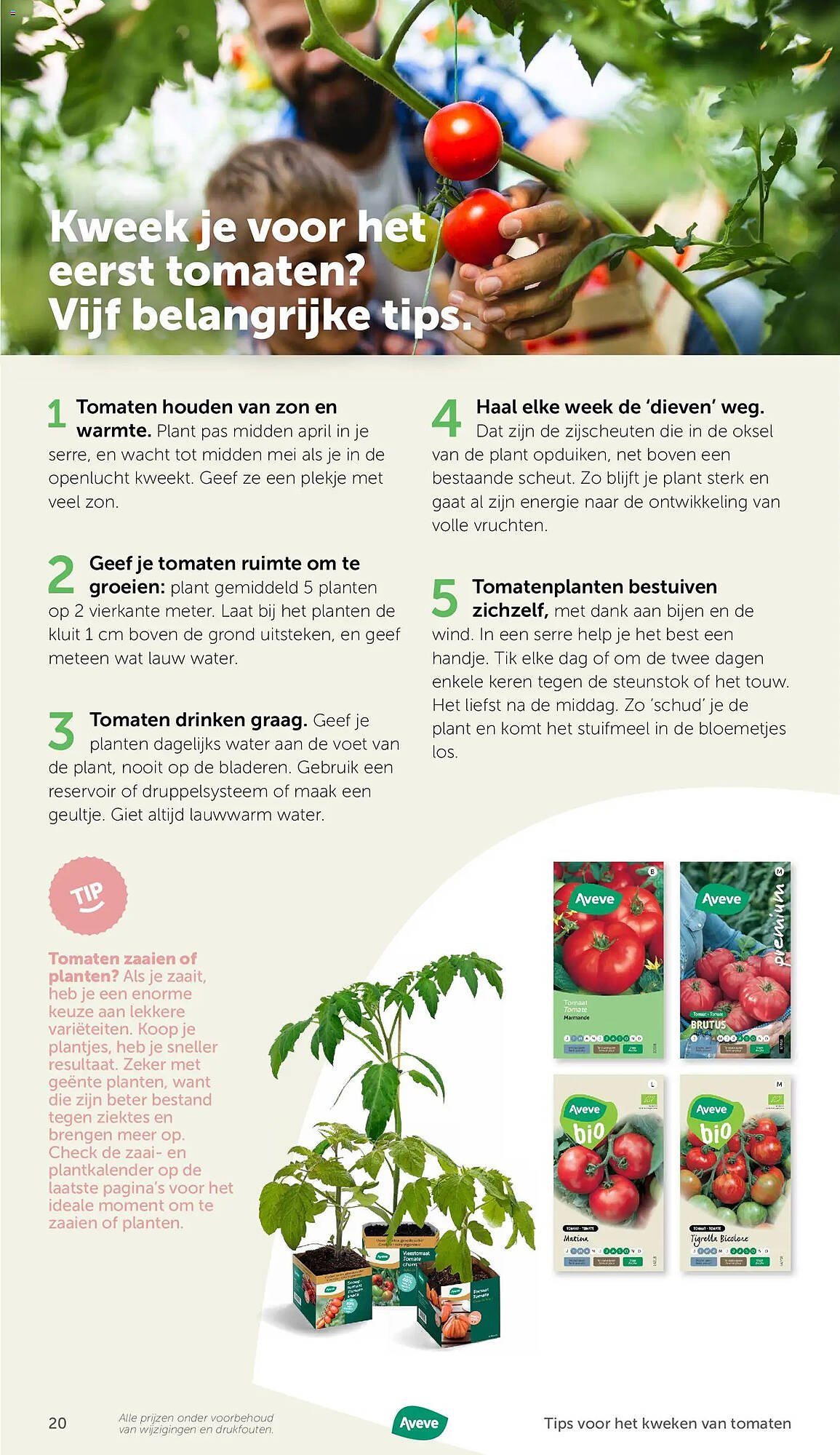 AVEVE folder (2026-03-09 - 2026-12-01)