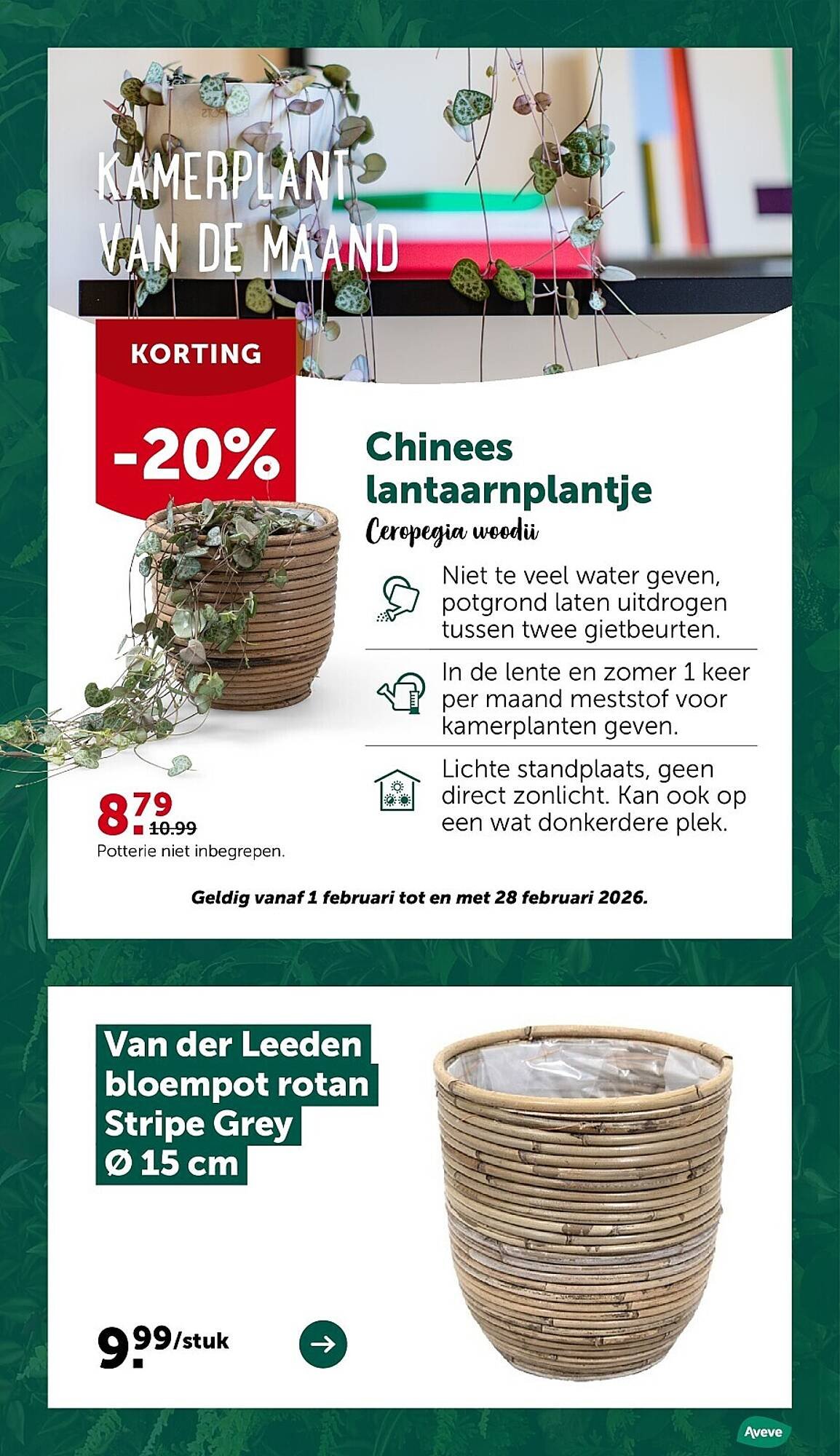 AVEVE folder (2026-02-04 - 2026-02-08)