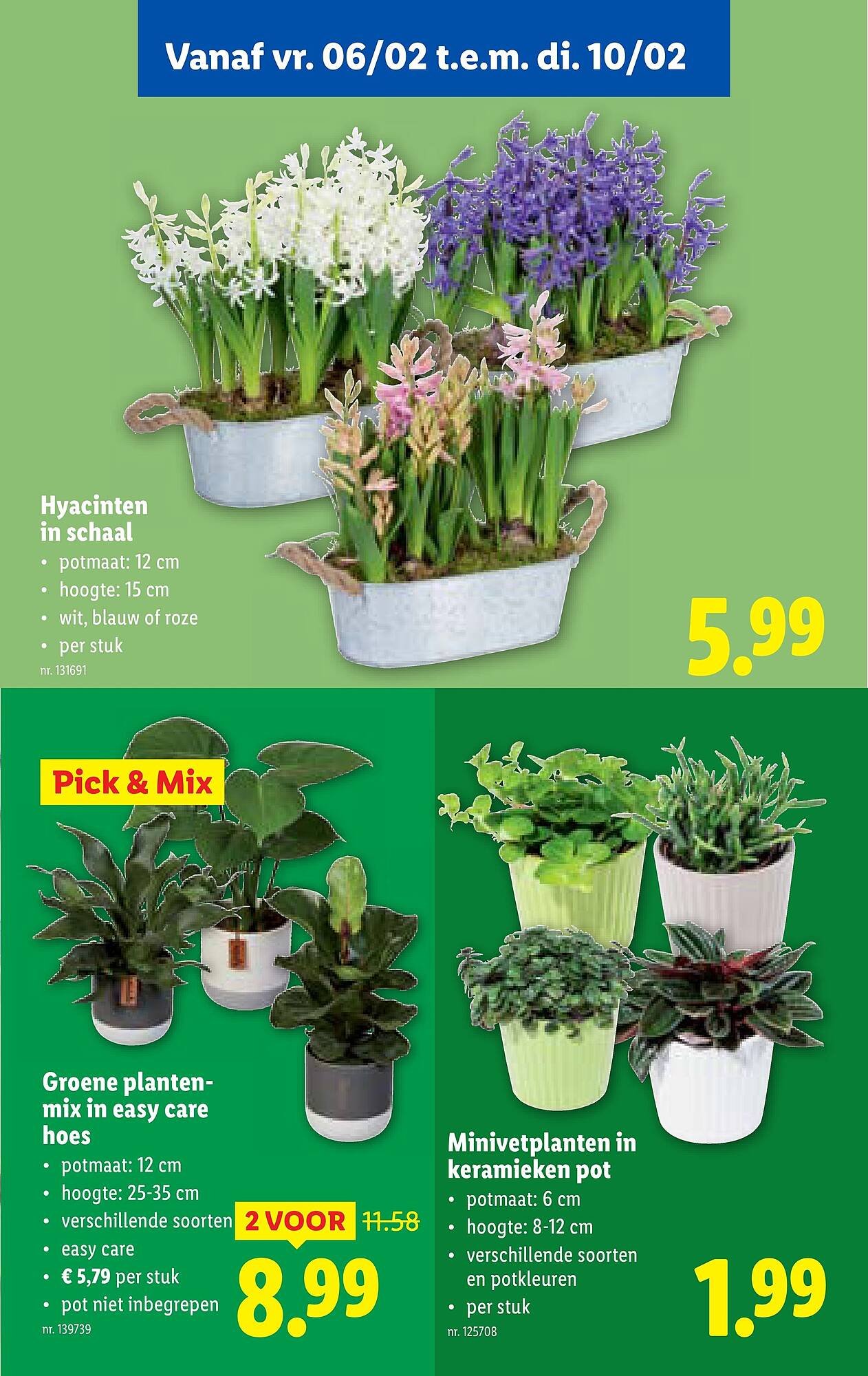 Lidl folder (2026-02-04 - 2026-02-10)