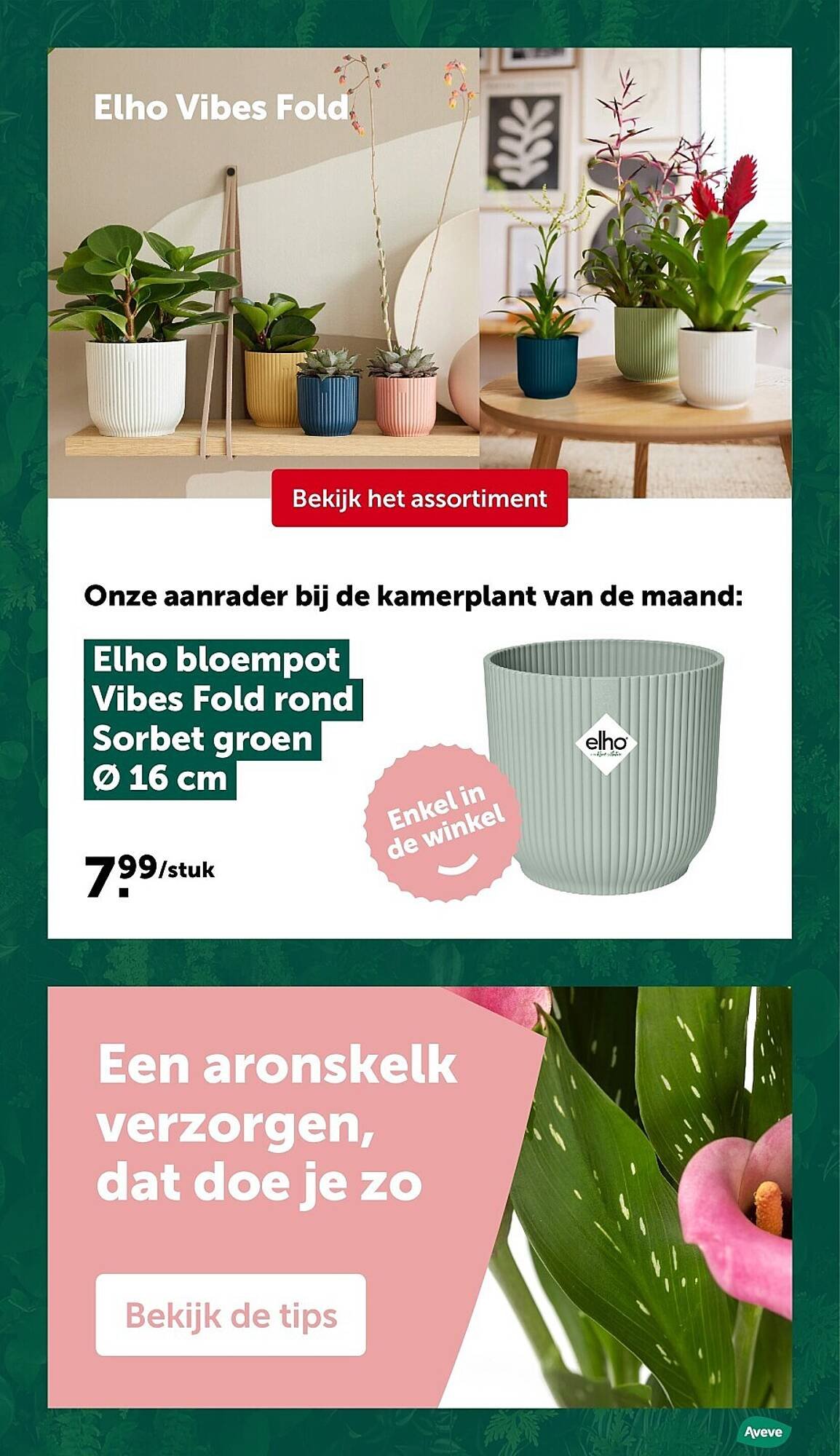 AVEVE folder (2026-03-11 - 2026-03-22)