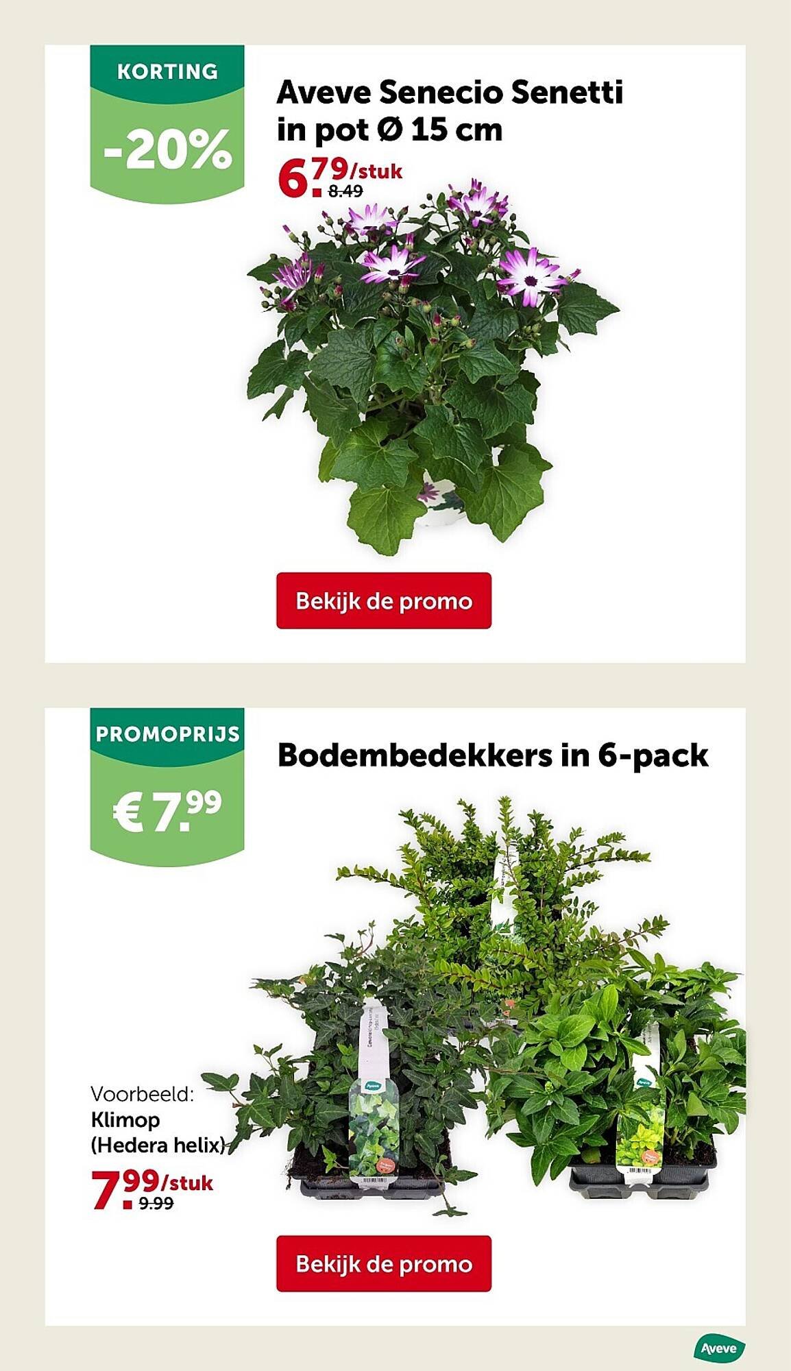 AVEVE folder (2026-03-11 - 2026-03-22)