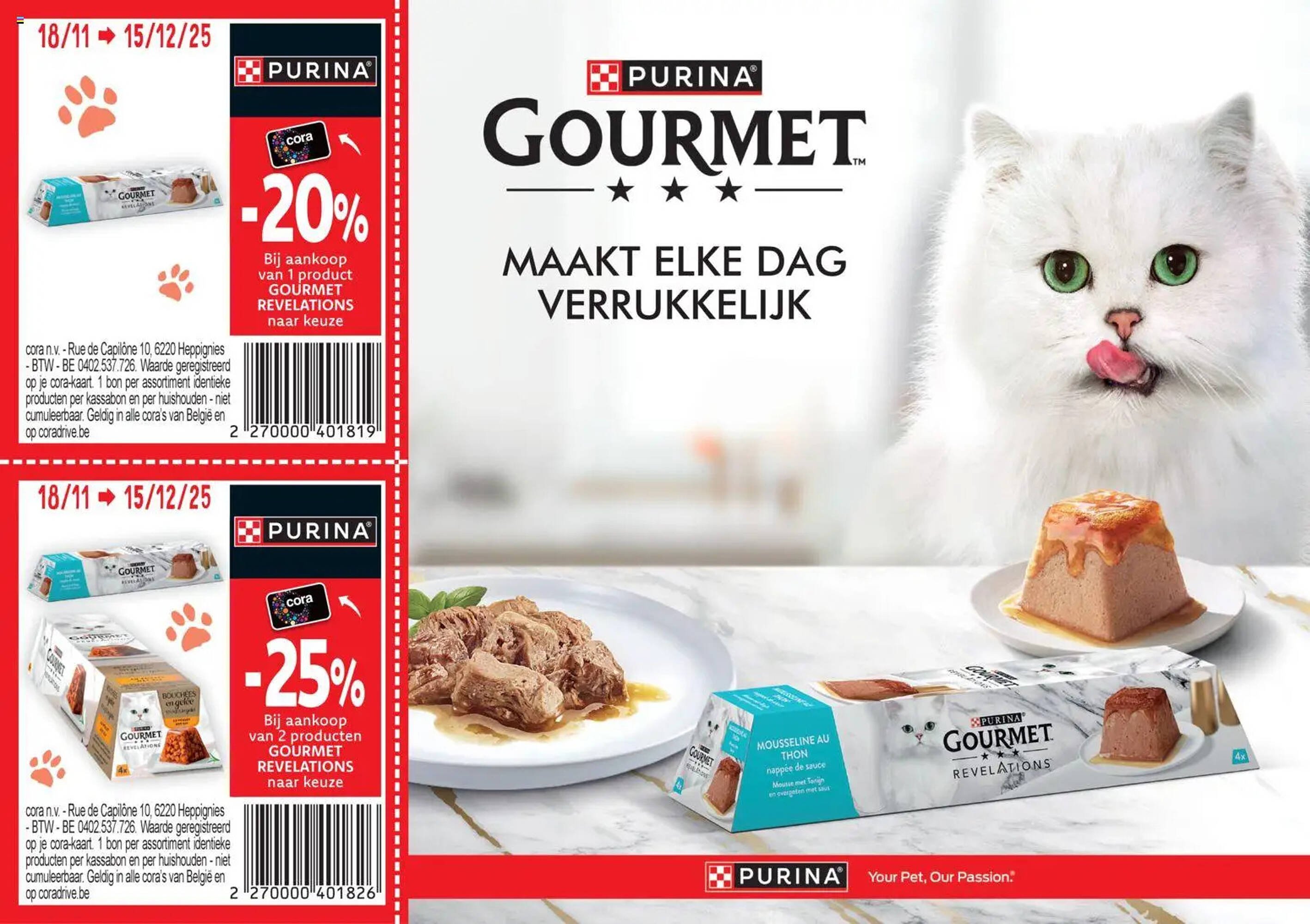 Cora folder (2025-11-18 - 2025-12-15)