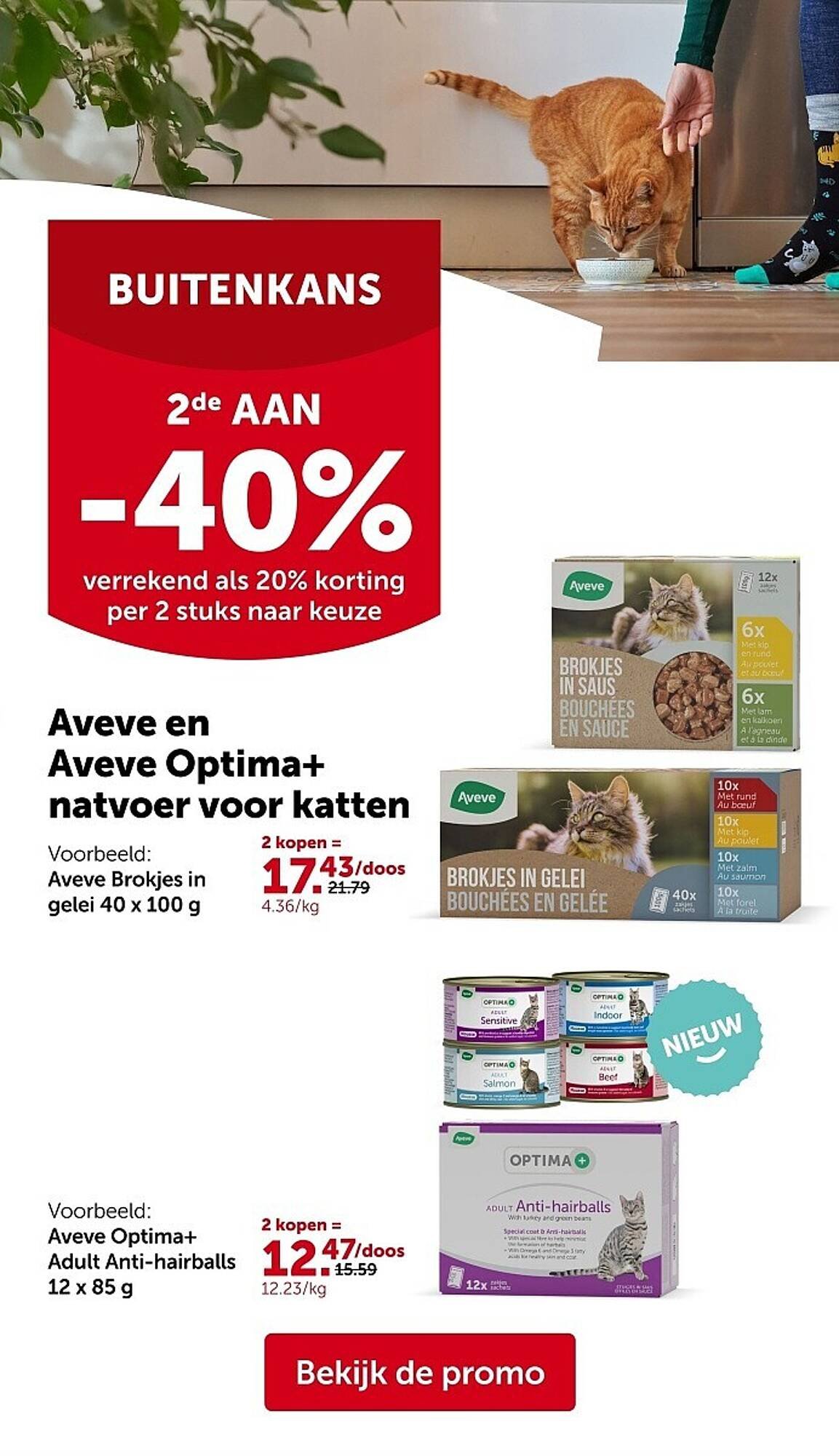 AVEVE folder (2025-10-22 - 2025-11-02)