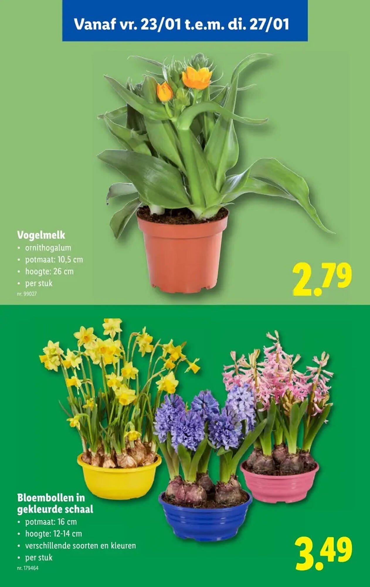 Lidl folder (2026-01-21 - 2026-01-27)