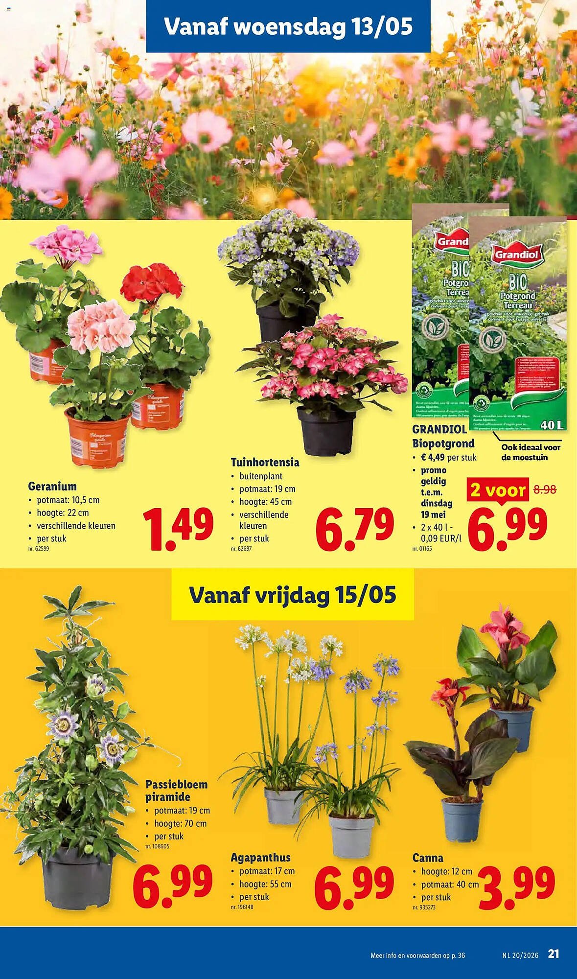 Lidl folder (2026-05-11 - 2026-05-16)