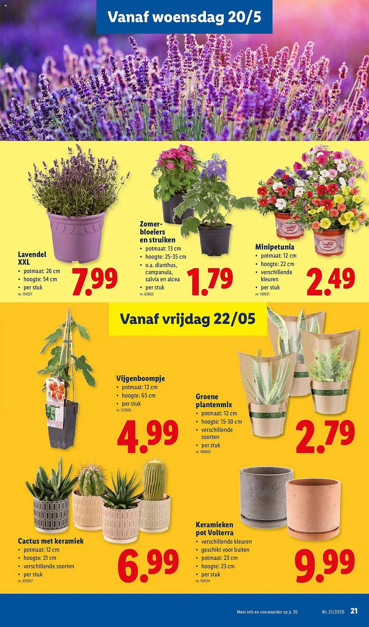 Lidl folder (2026-05-18 - 2026-05-23)