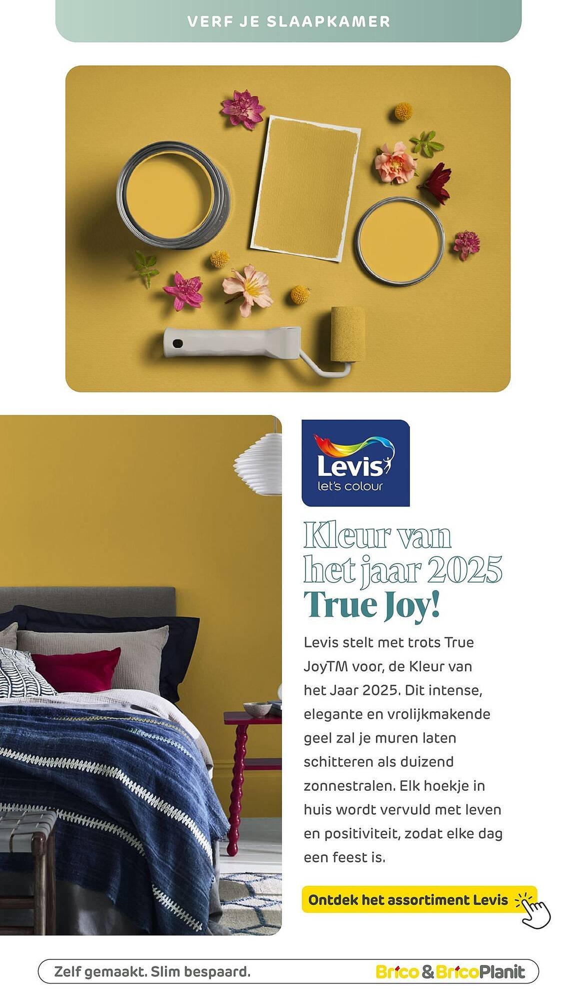 Brico folder (2026-03-04 - 2026-03-17)