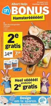 Albert Heijn folder