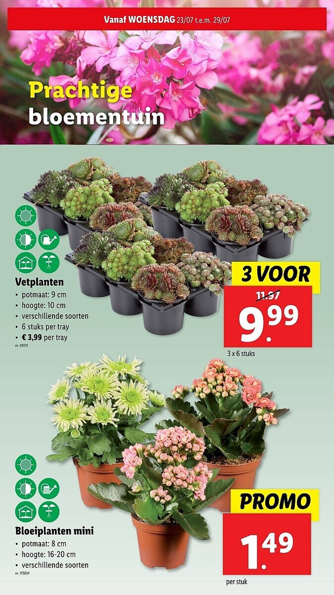 Lidl folder (2025-07-23 - 2025-07-29)