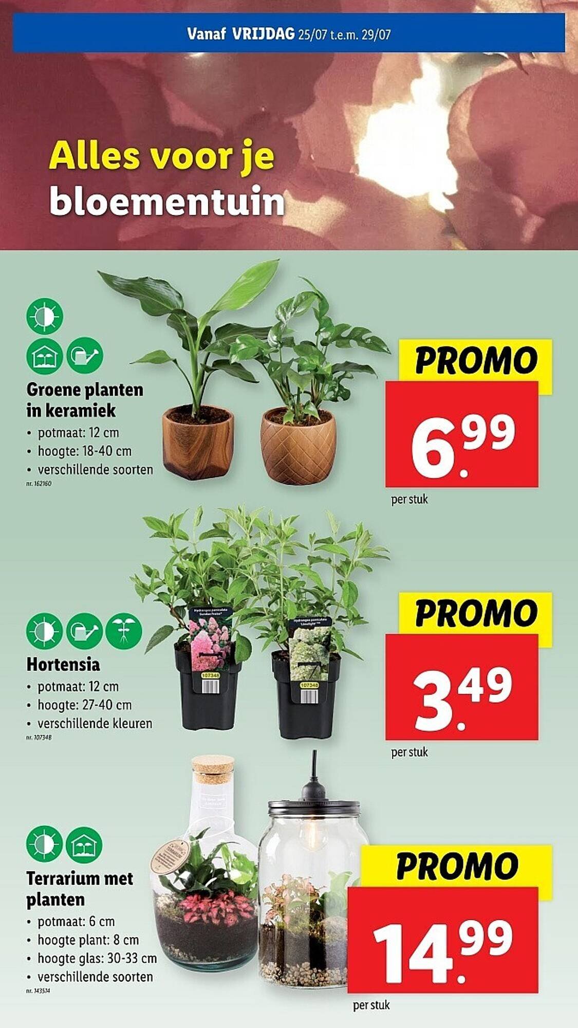 Lidl folder (2025-07-23 - 2025-07-29)