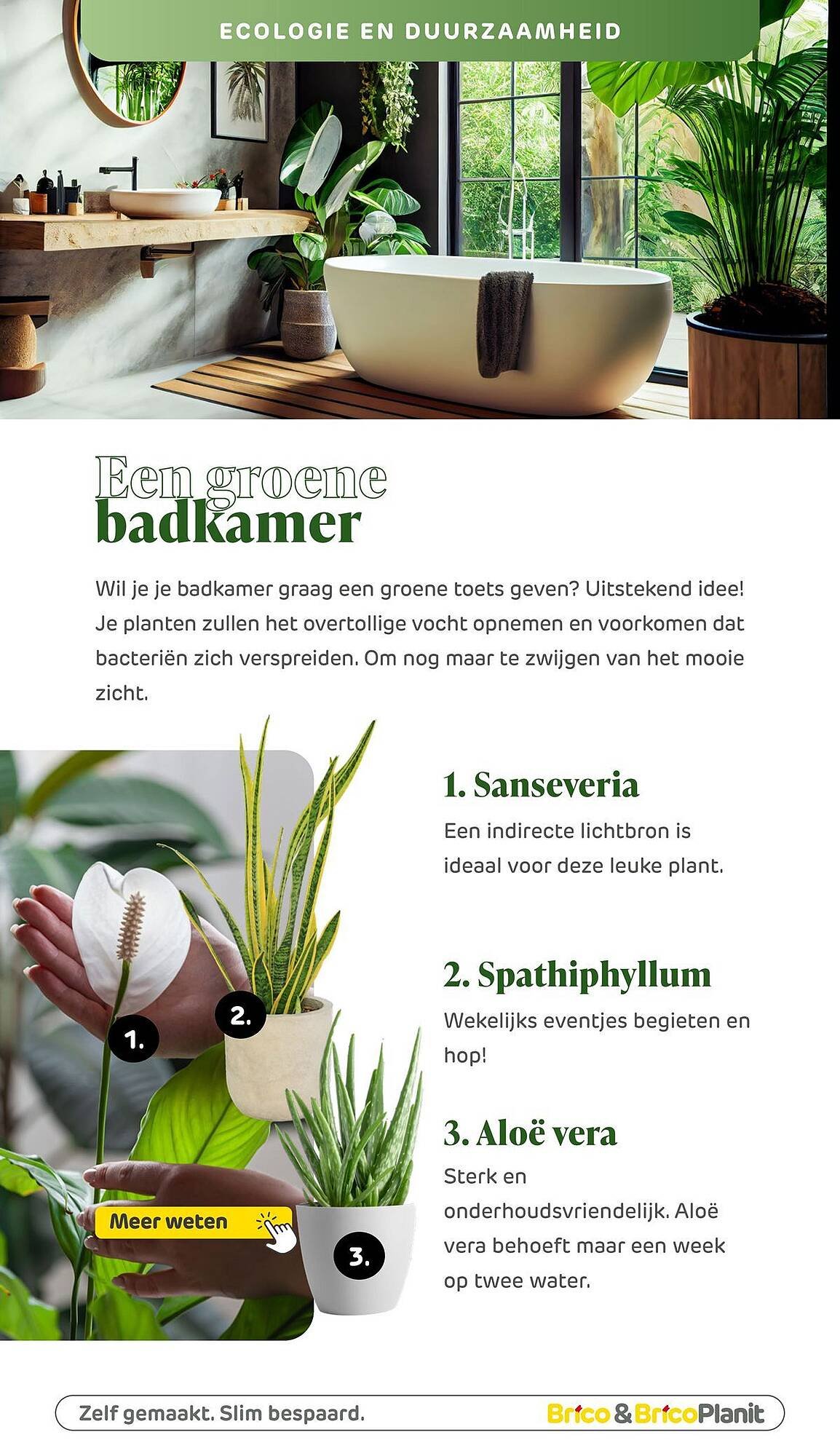 Brico magazine (2026-03-04 - 2026-05-31)