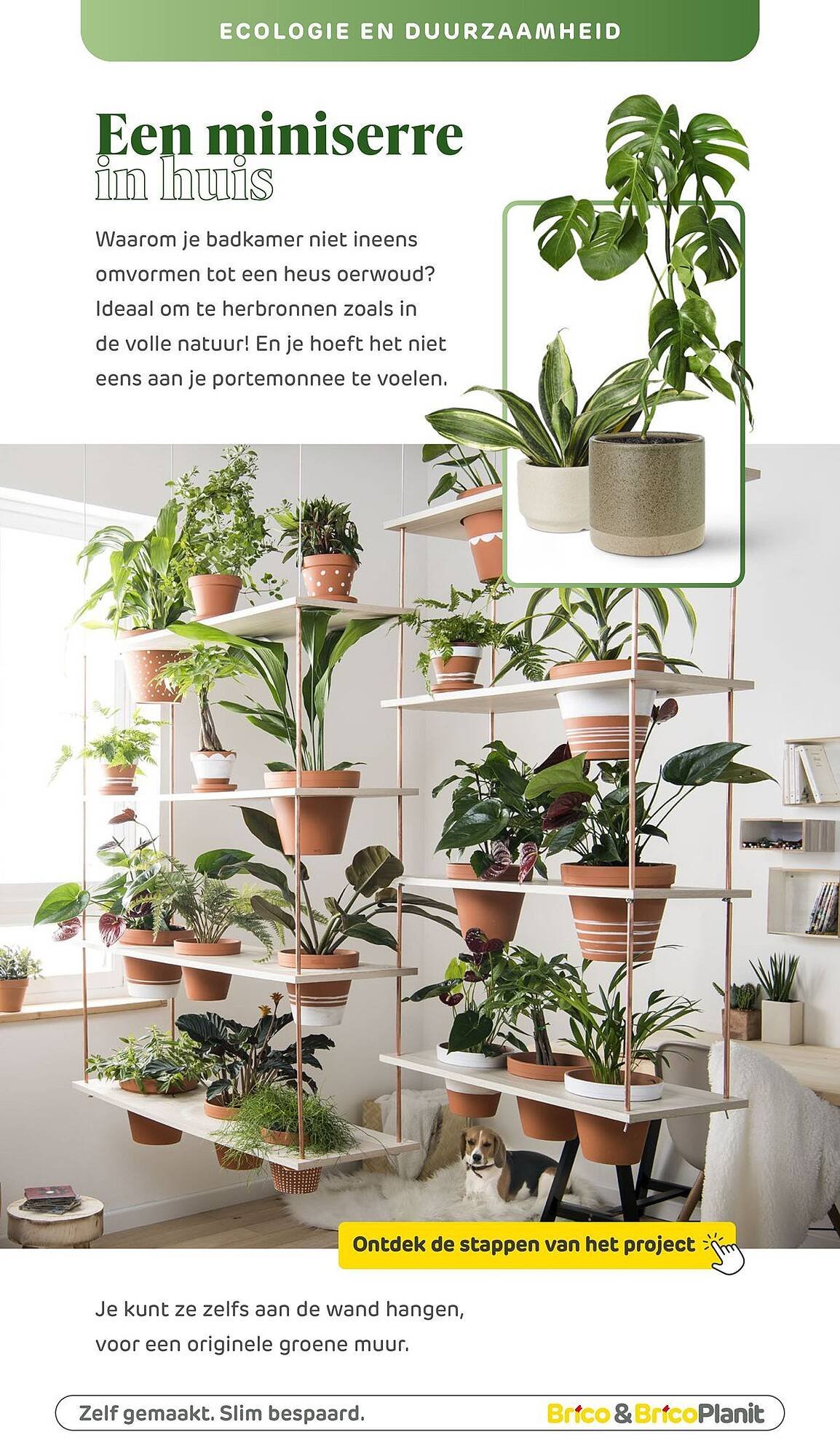 Brico magazine (2026-03-04 - 2026-05-31)