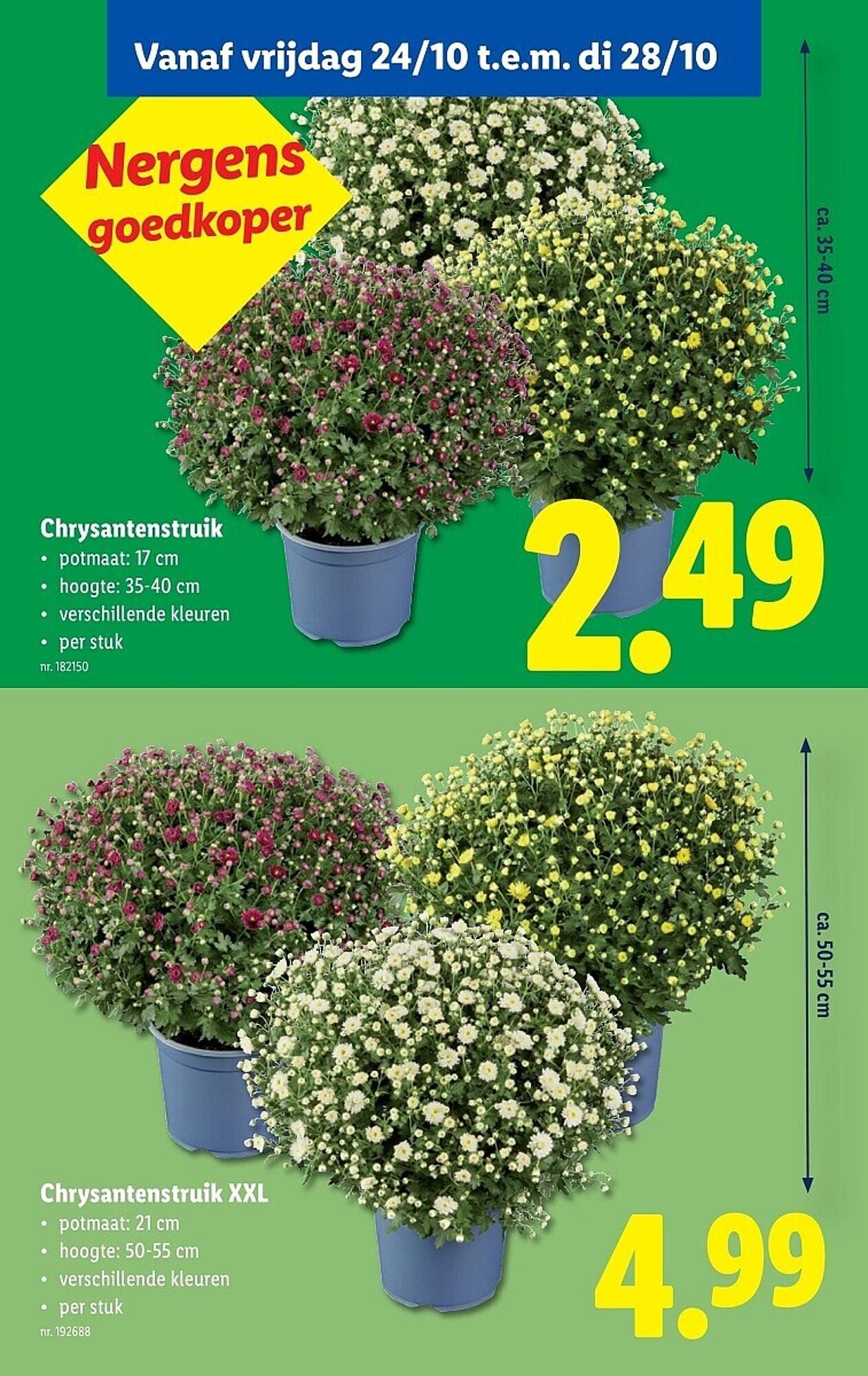 Lidl folder (2025-10-22 - 2025-10-28)