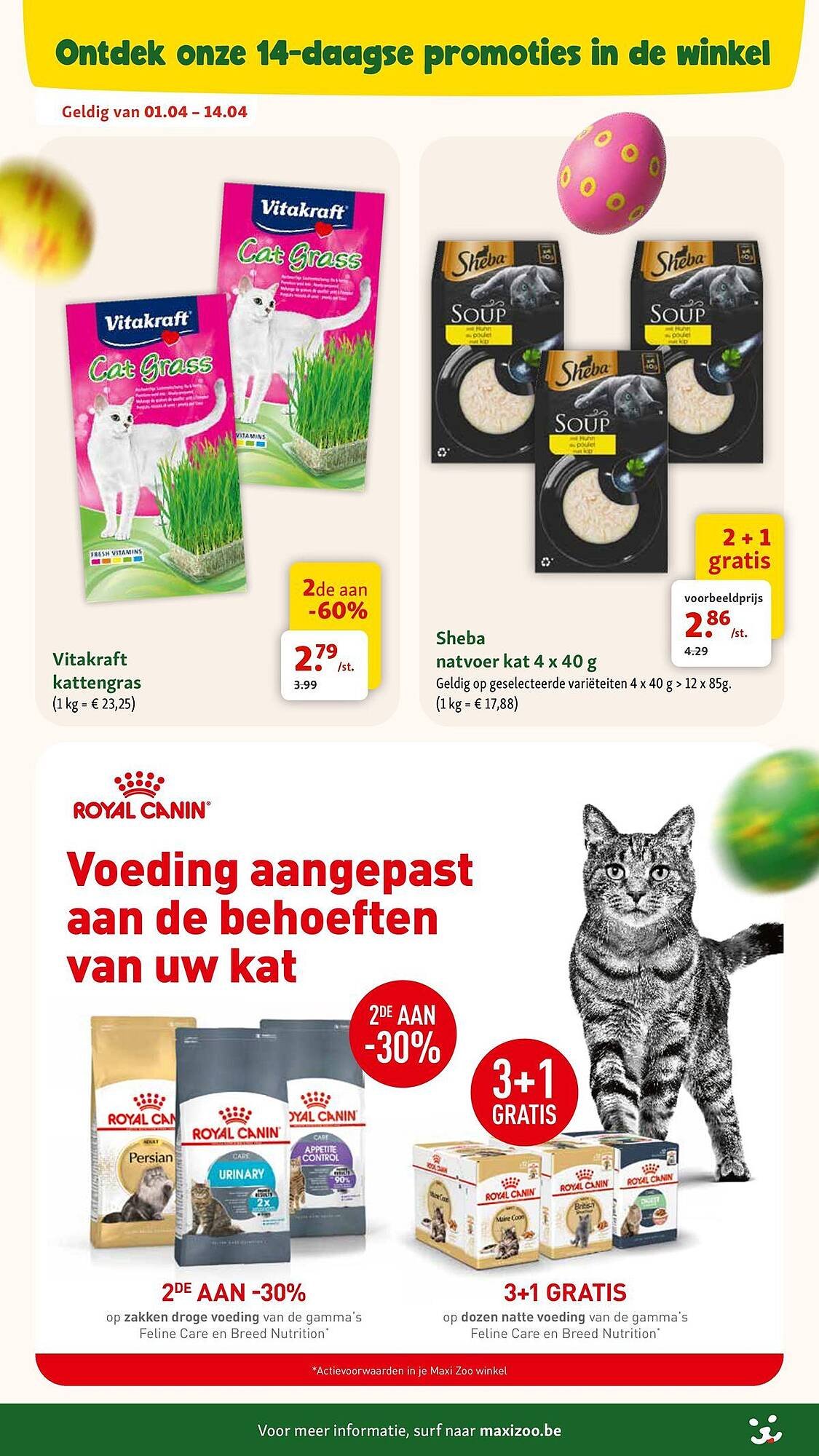 Maxi Zoo folder (2026-04-01 - 2026-05-05)