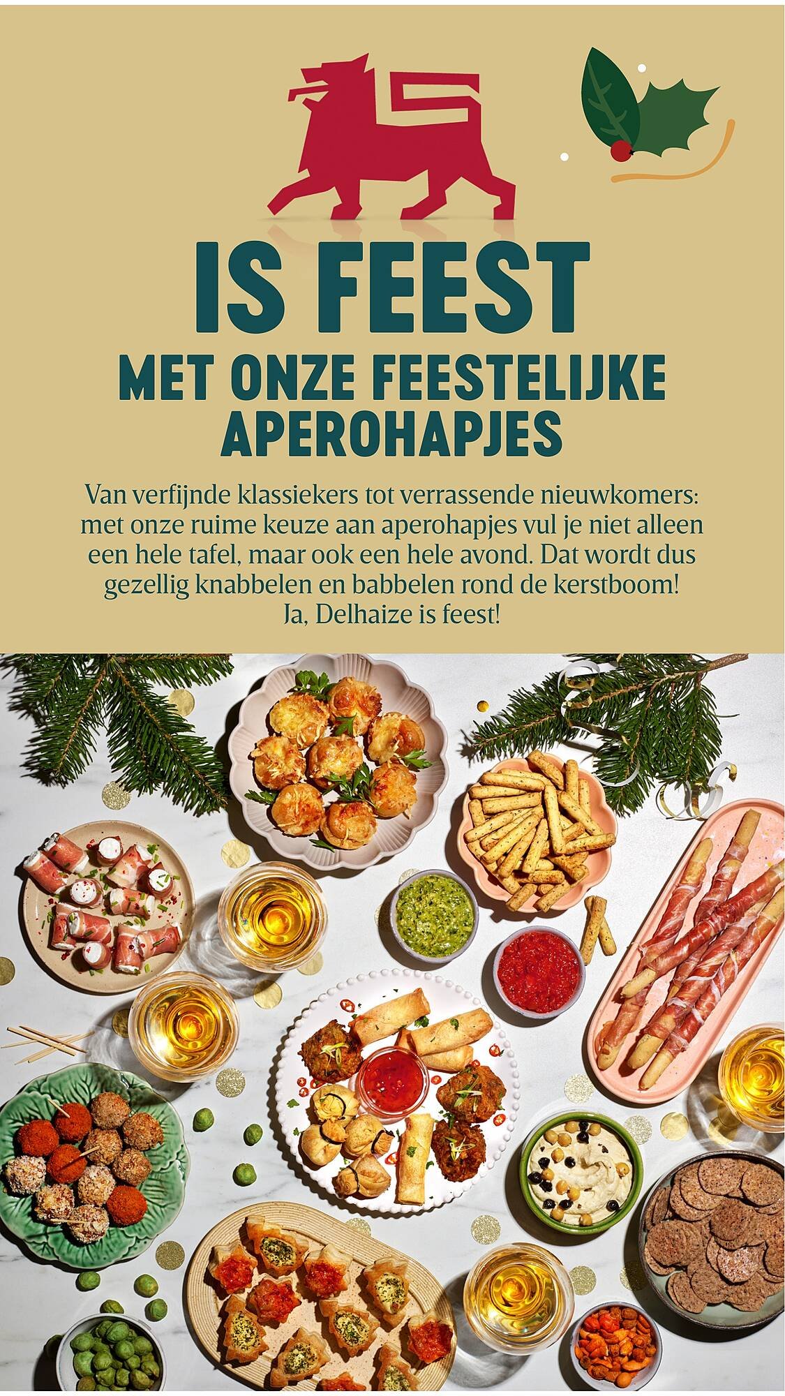 Delhaize folder