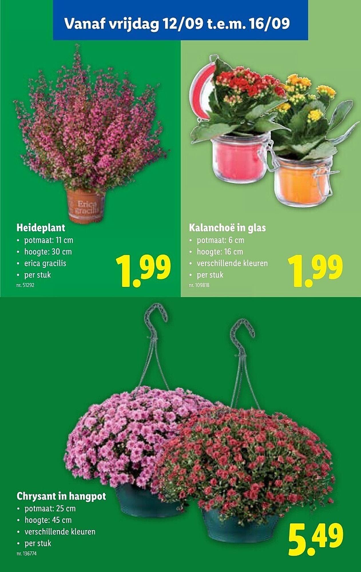 Lidl folder (2025-09-10 - 2025-09-16)