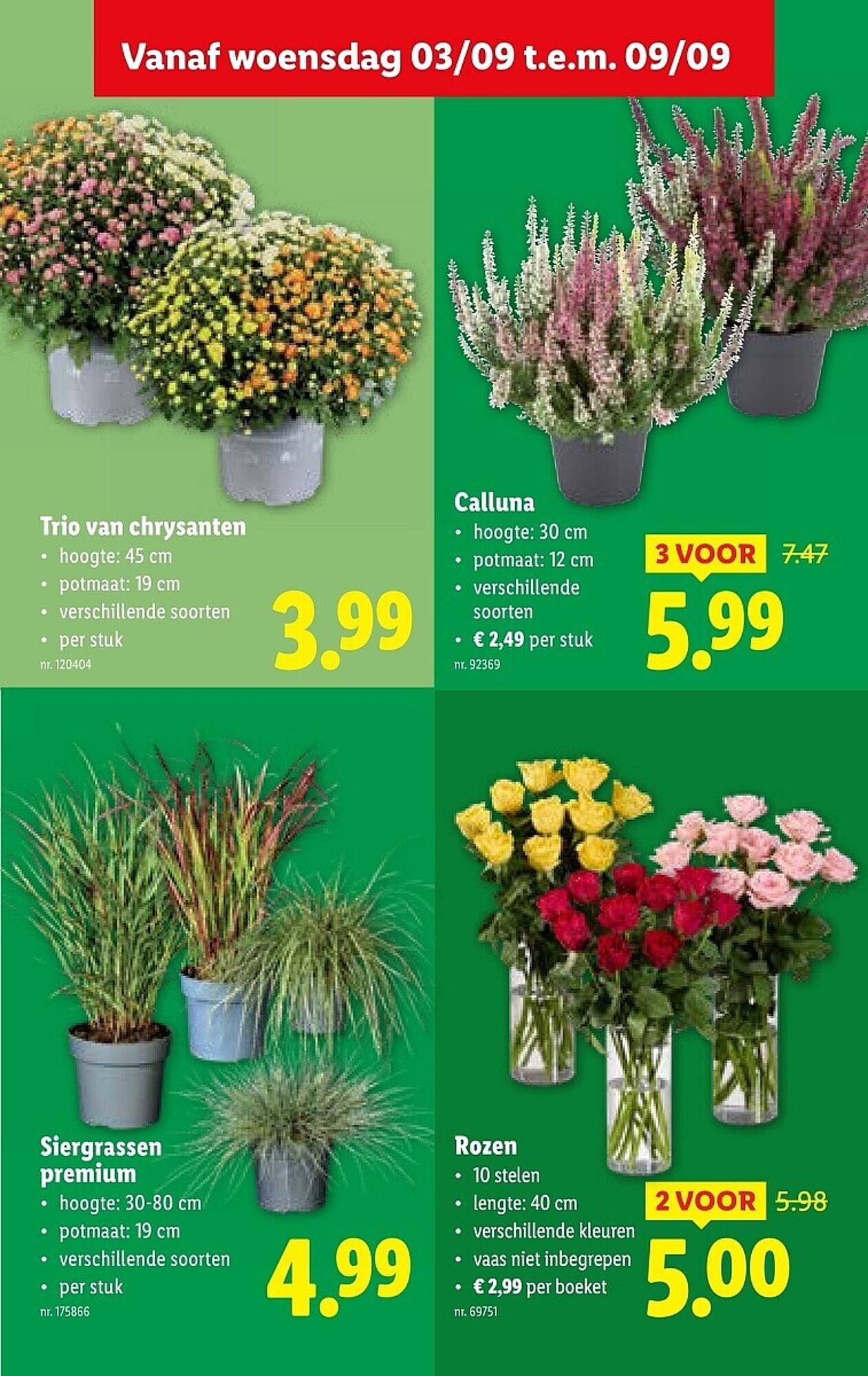 Lidl folder (2025-09-03 - 2025-09-09)