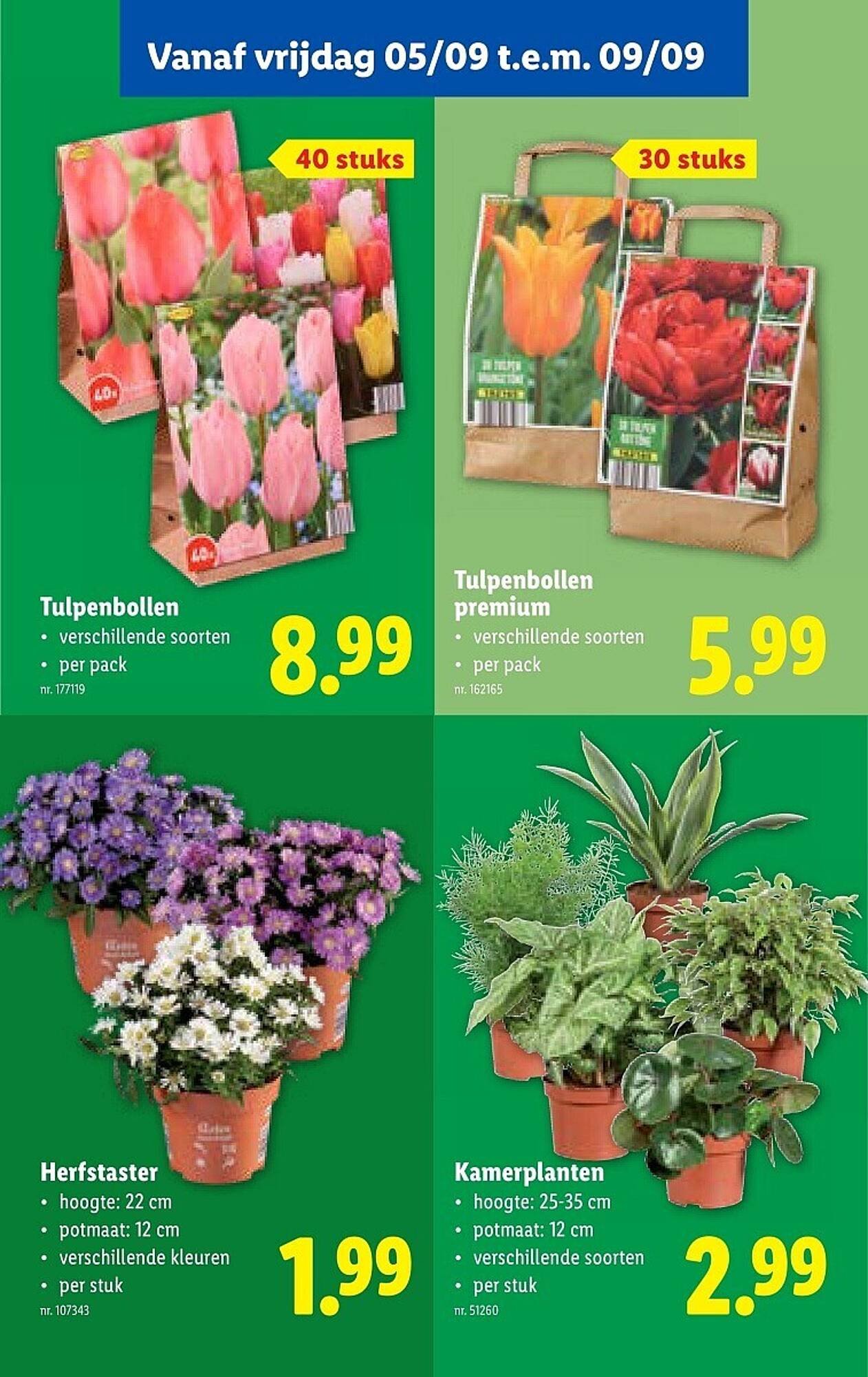 Lidl folder (2025-09-03 - 2025-09-09)