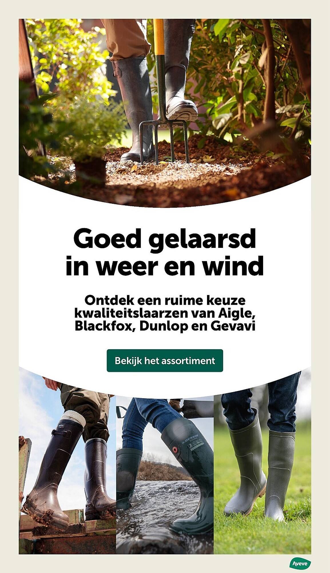 AVEVE folder (2026-01-14 - 2026-01-18)