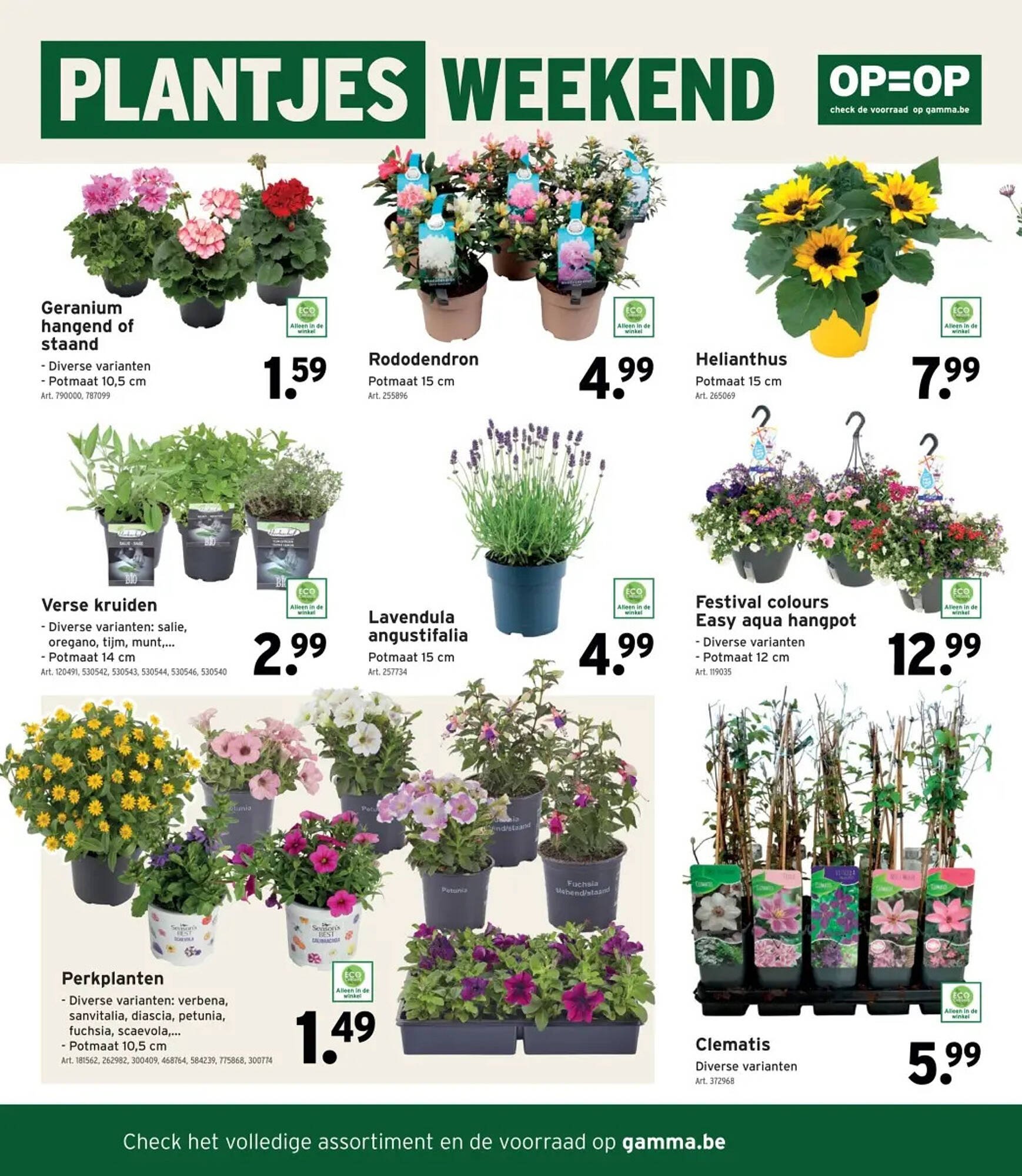 GAMMA folder (2026-04-22 - 2026-05-05)