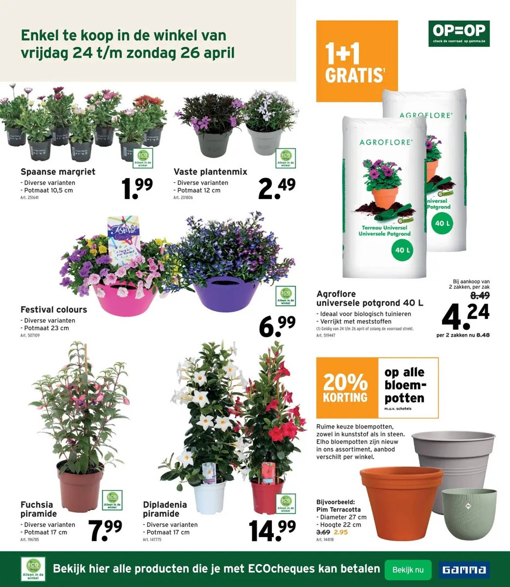 GAMMA folder (2026-04-22 - 2026-05-05)