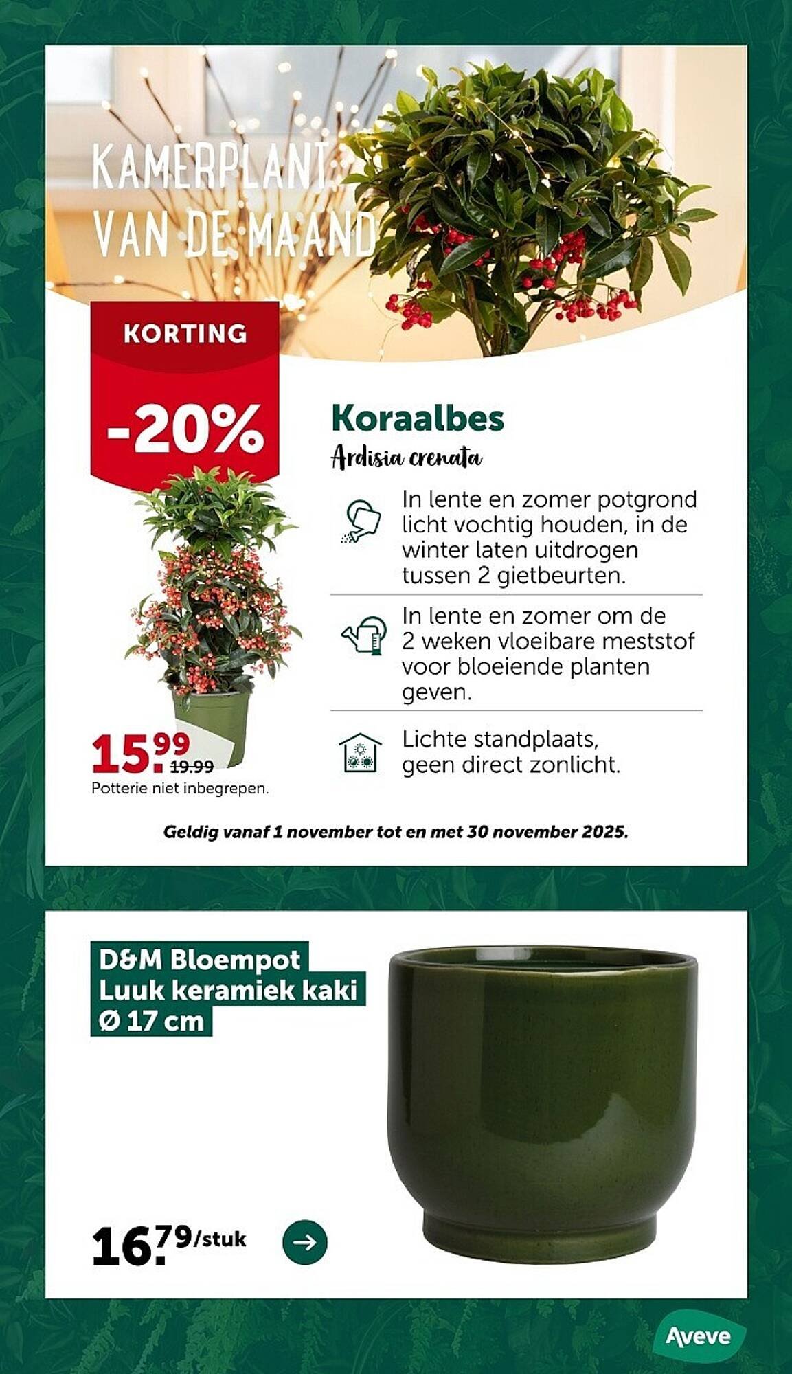 AVEVE folder (2025-11-12 - 2025-11-23)