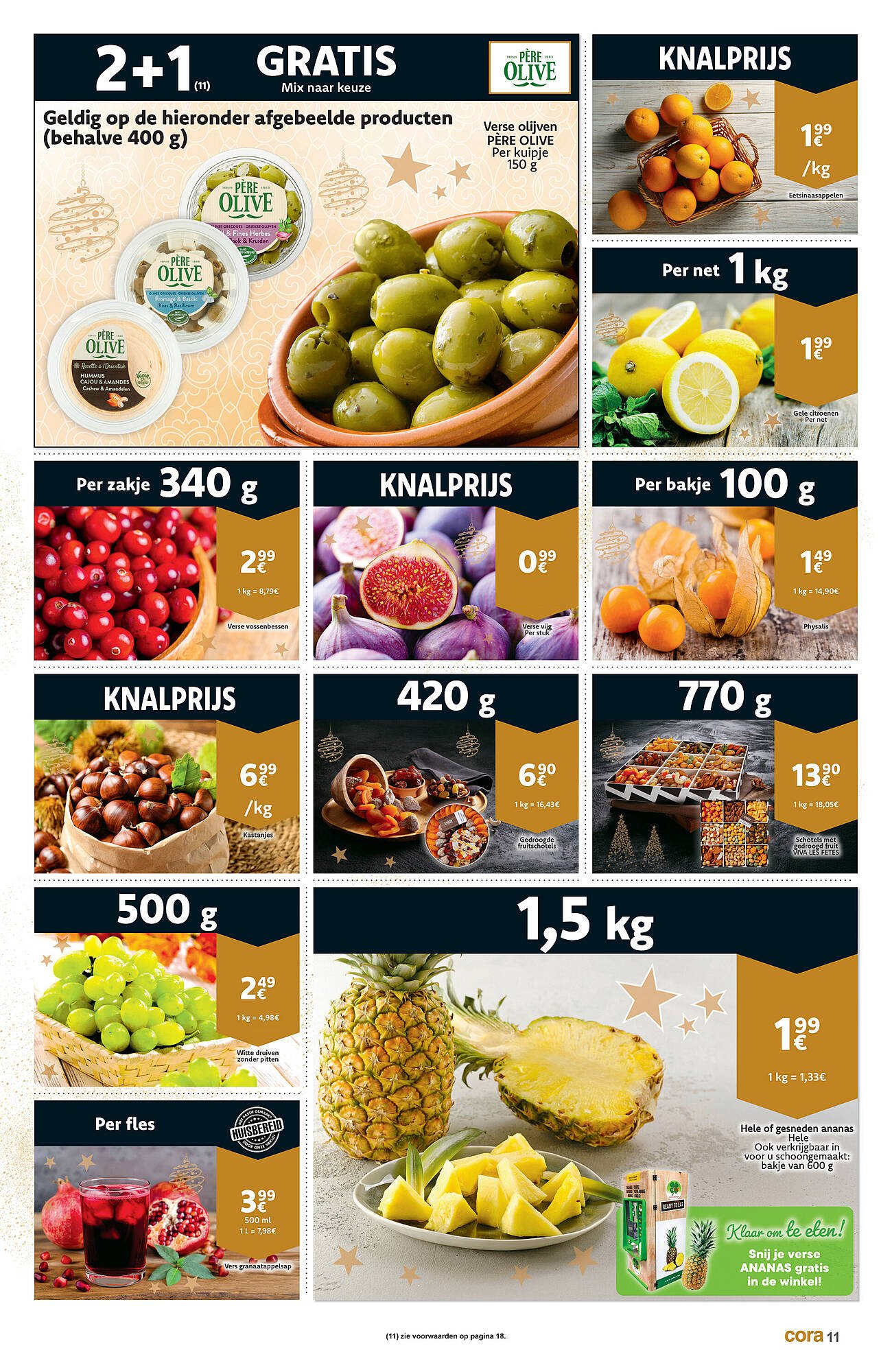 Cora folder (2025-12-09 - 2025-12-24)