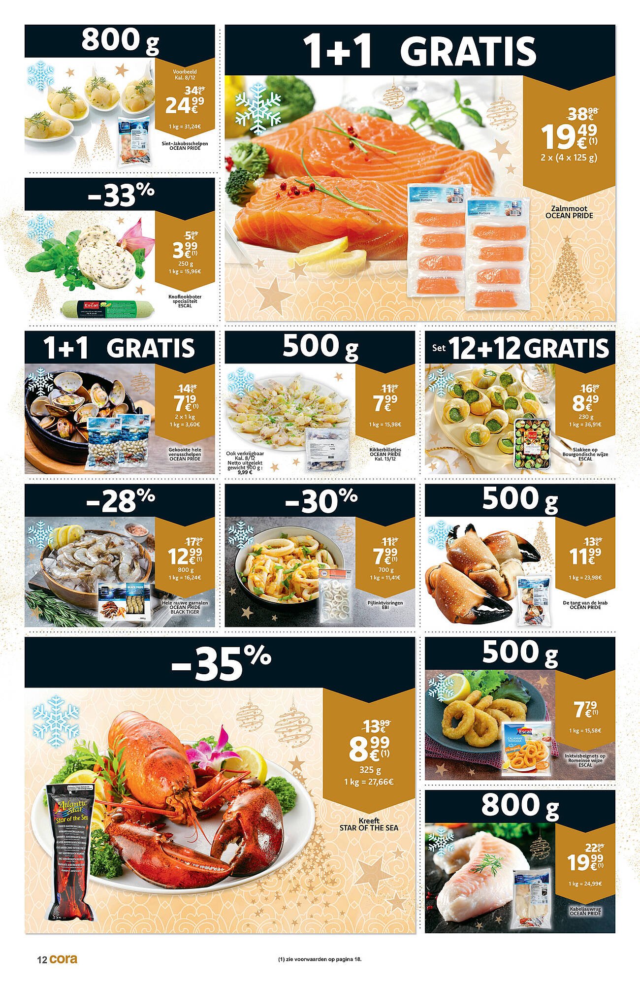 Cora folder (2025-12-09 - 2025-12-24)