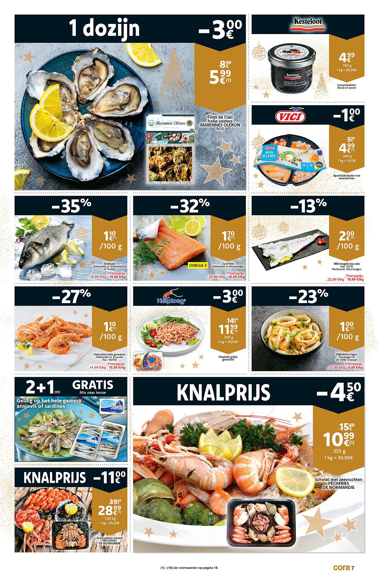 Cora folder (2025-12-09 - 2025-12-24)