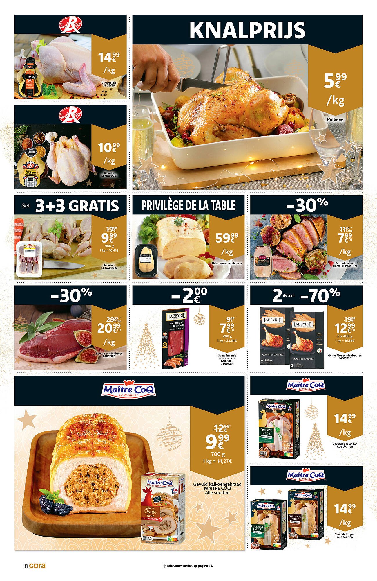 Cora folder (2025-12-09 - 2025-12-24)