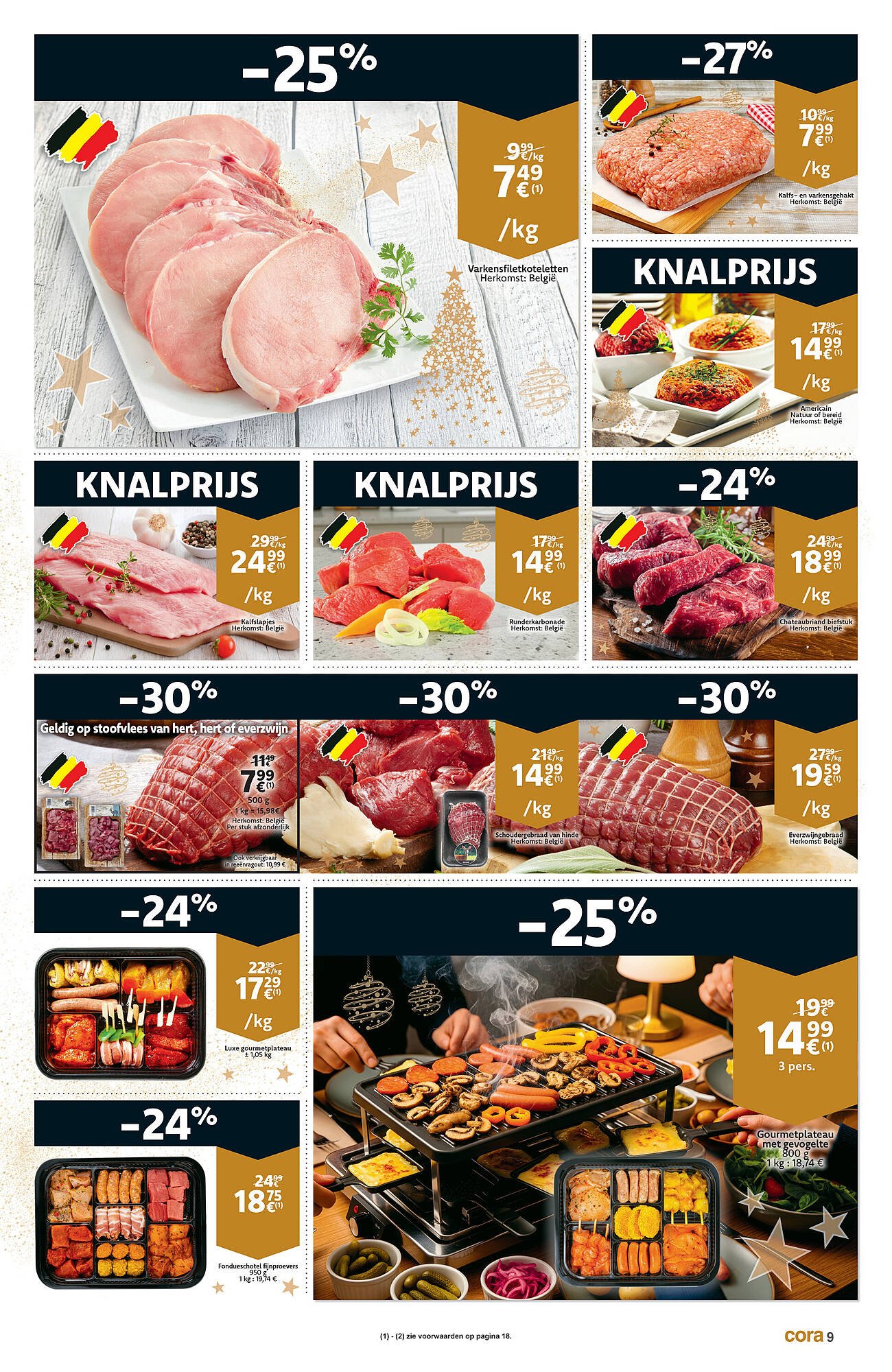 Cora folder (2025-12-09 - 2025-12-24)