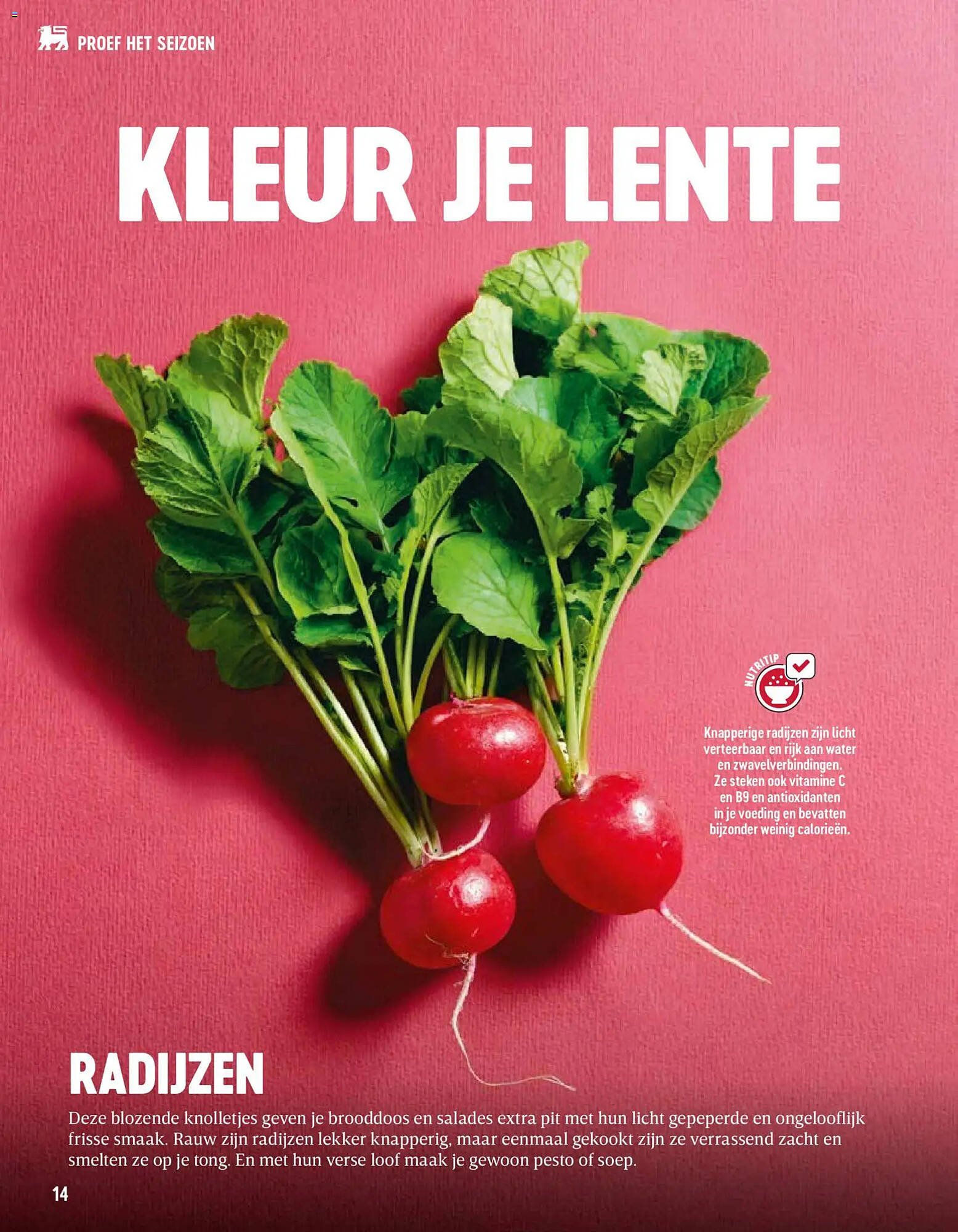 Delhaize magazine