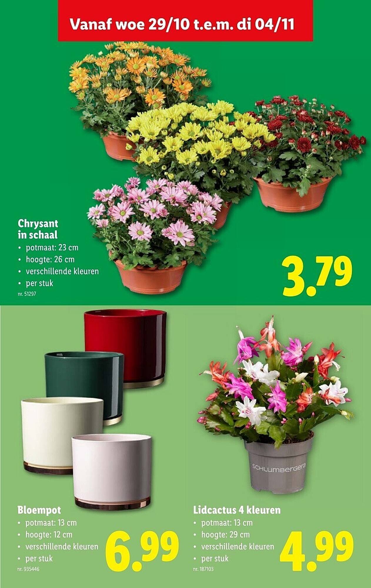 Lidl folder (2025-10-29 - 2025-11-04)