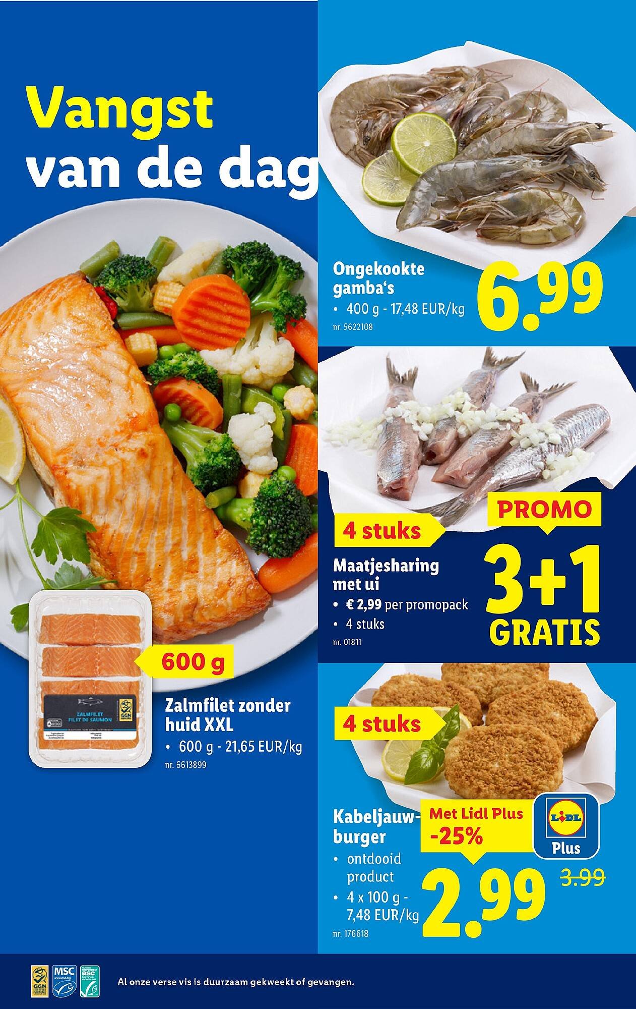 Lidl folder (2025-08-20 - 2025-08-26)