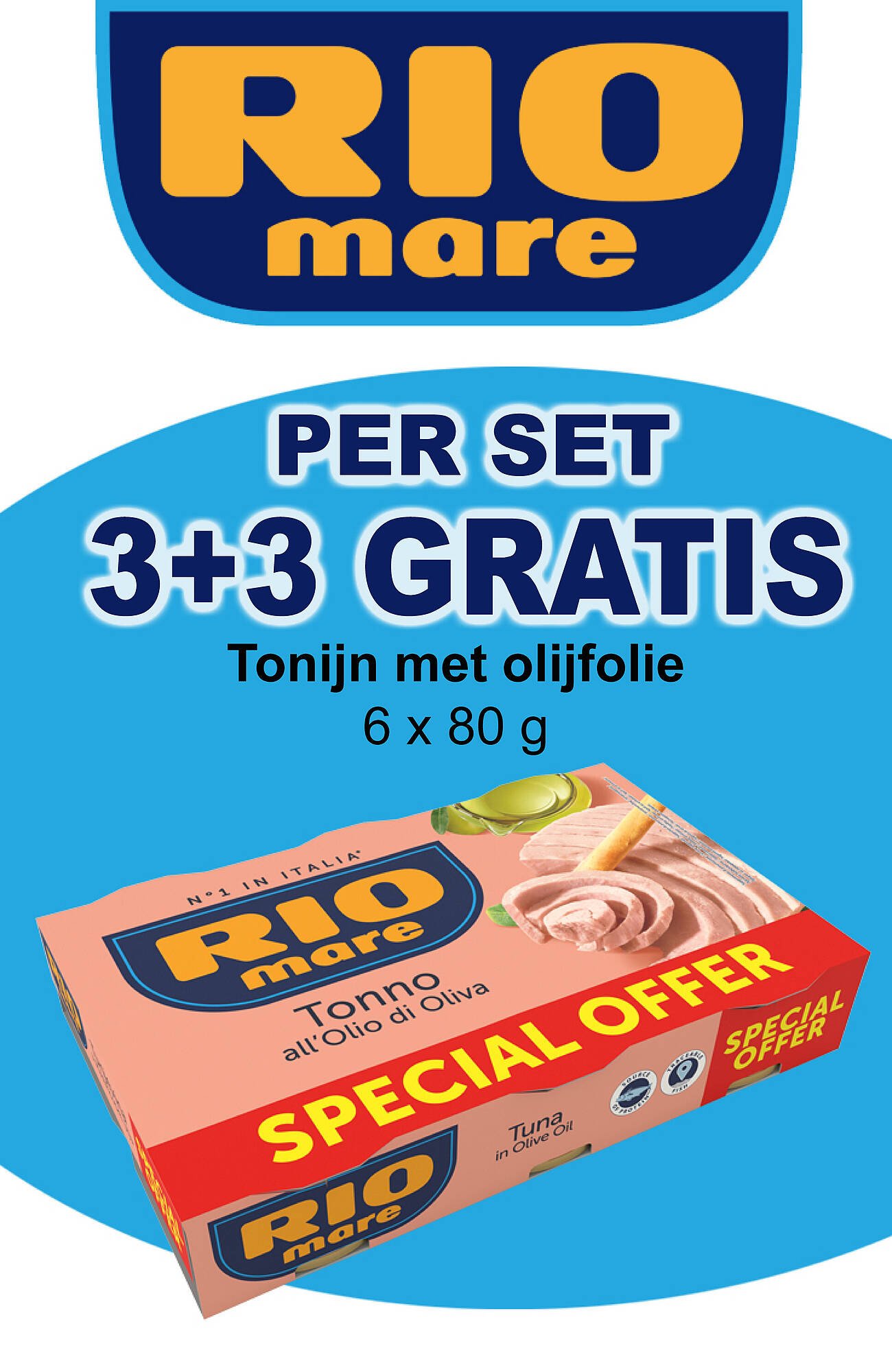 Cora folder (2025-11-04 - 2025-11-10)