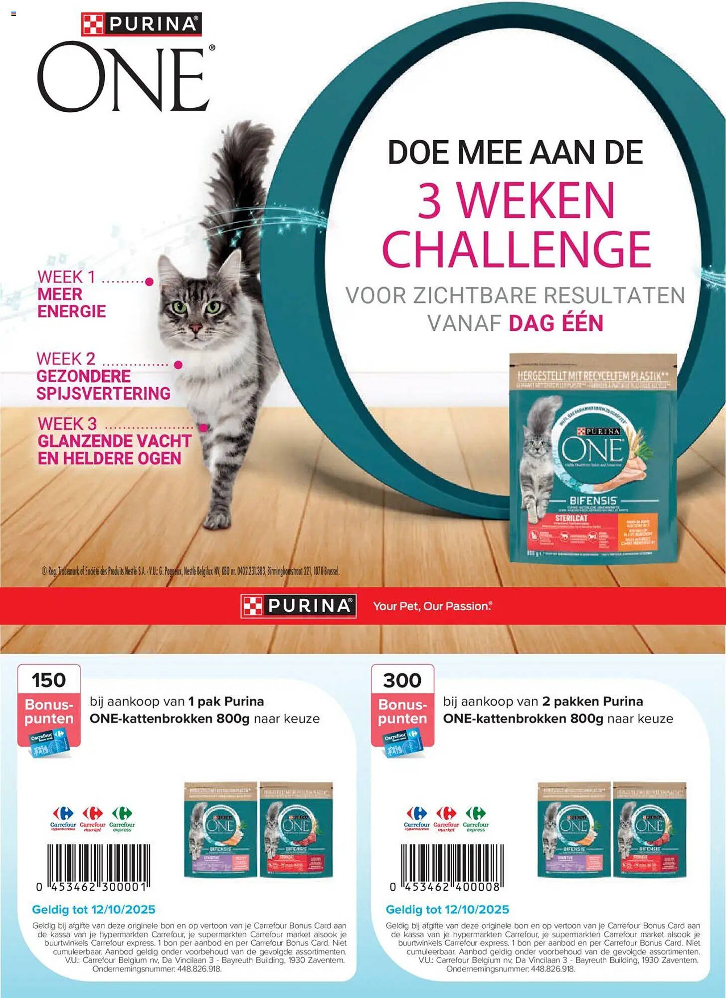Carrefour folder (2025-09-15 - 2025-10-12)
