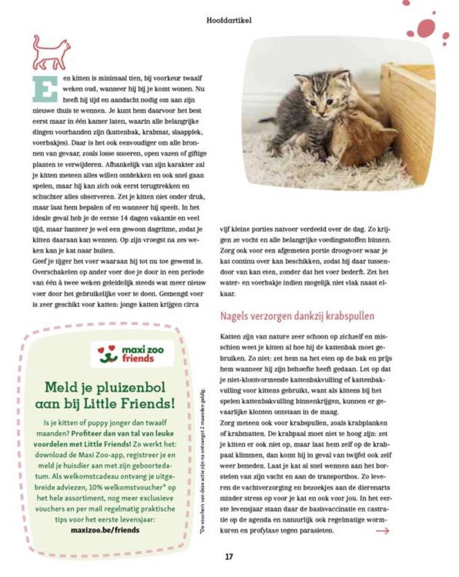 Maxi Zoo folder (2025-09-11 - 2025-09-17)