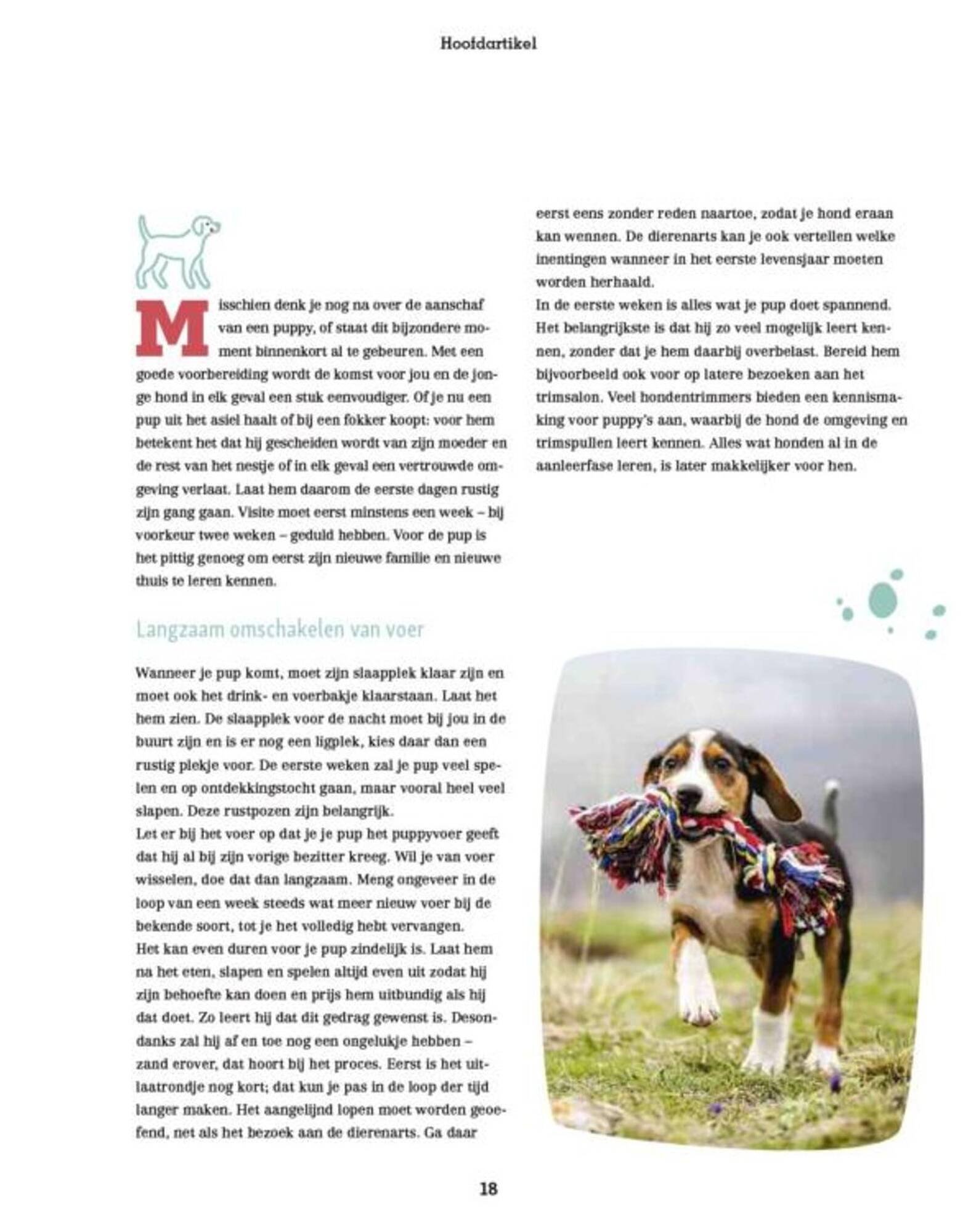 Maxi Zoo folder (2025-09-11 - 2025-09-17)