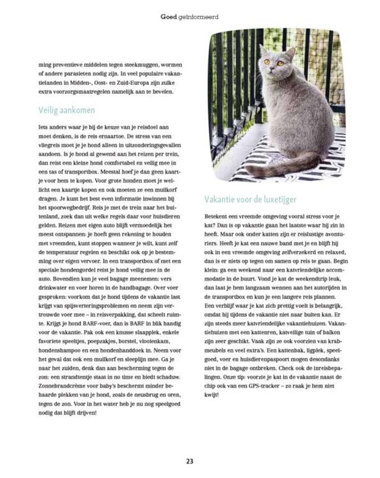 Maxi Zoo folder (2025-09-11 - 2025-09-17)