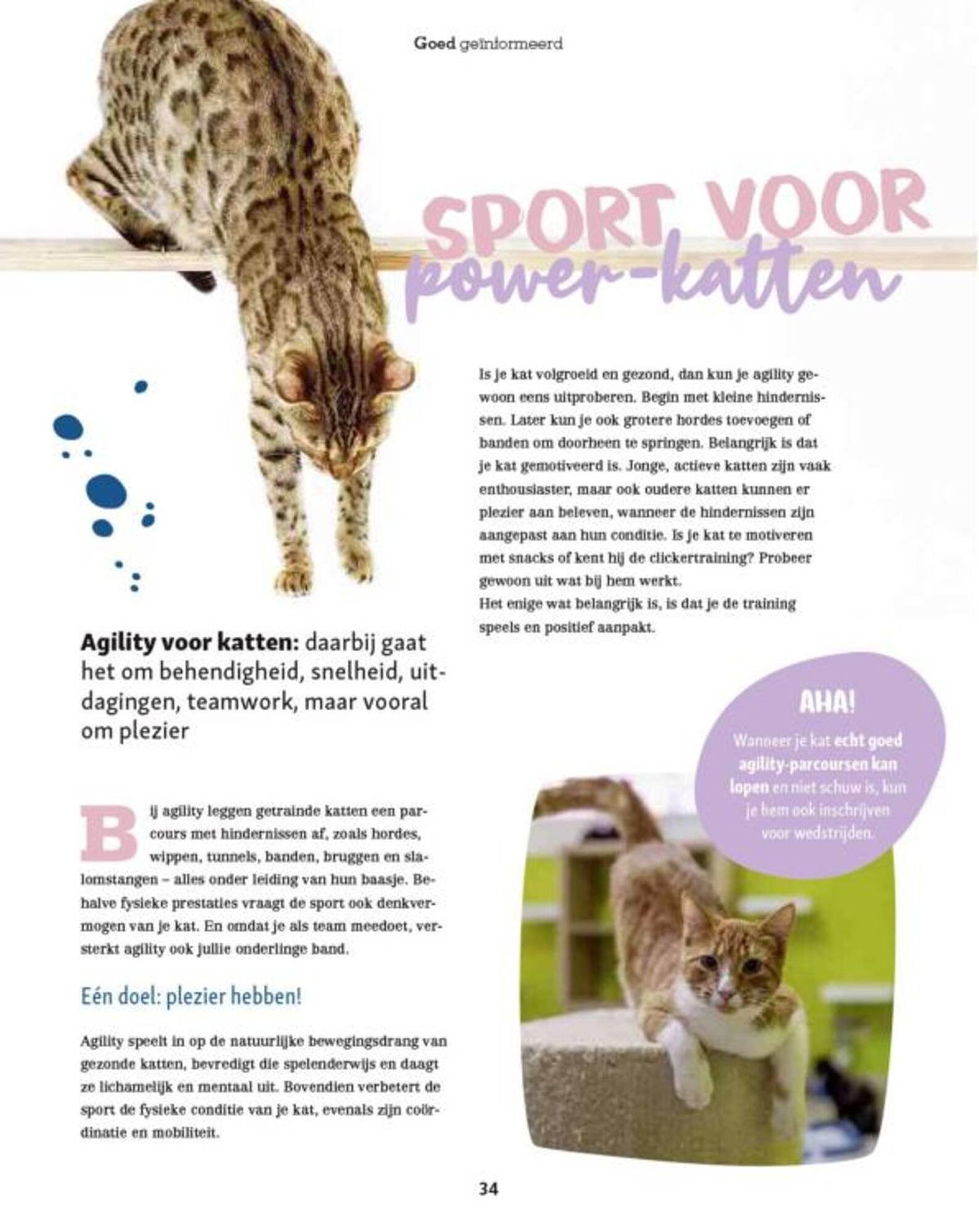 Maxi Zoo folder (2025-09-11 - 2025-09-17)