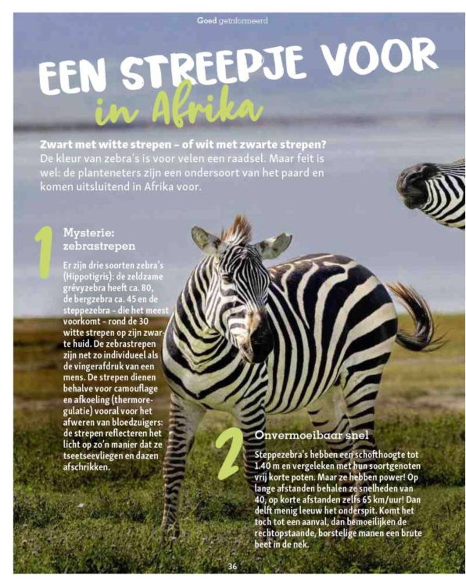 Maxi Zoo folder (2025-09-11 - 2025-09-17)