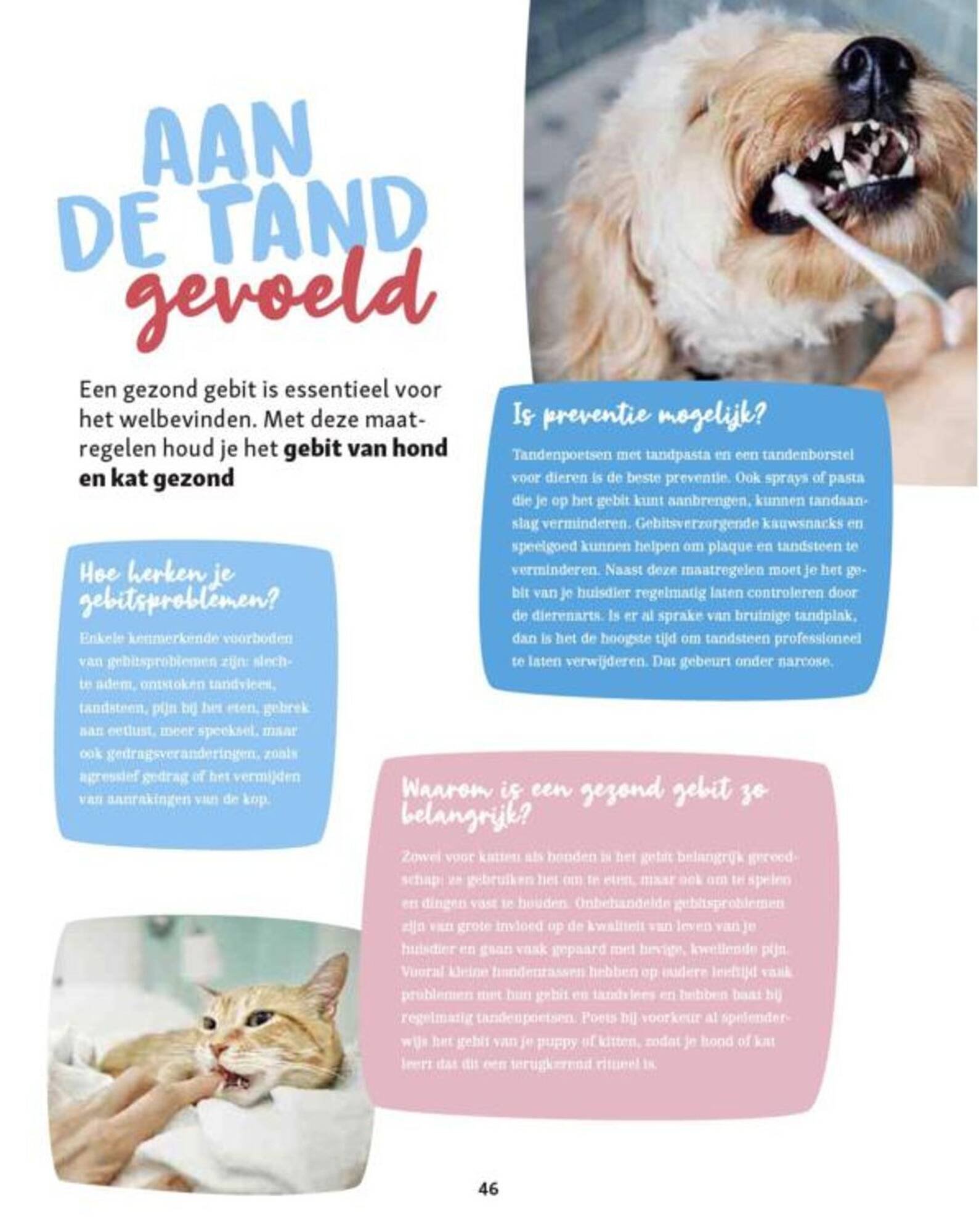 Maxi Zoo folder (2025-09-11 - 2025-09-17)