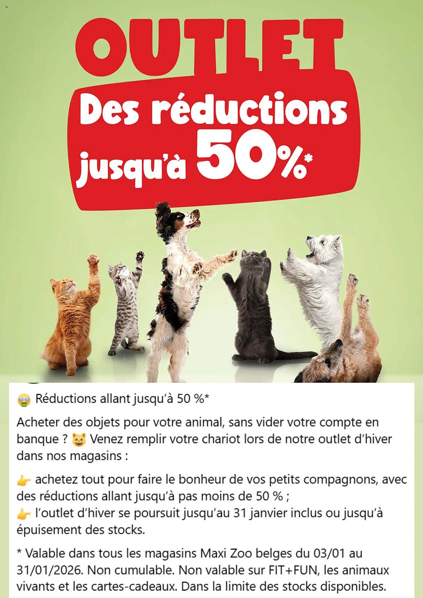 Maxi Zoo folder (2026-01-08 - 2026-01-31)