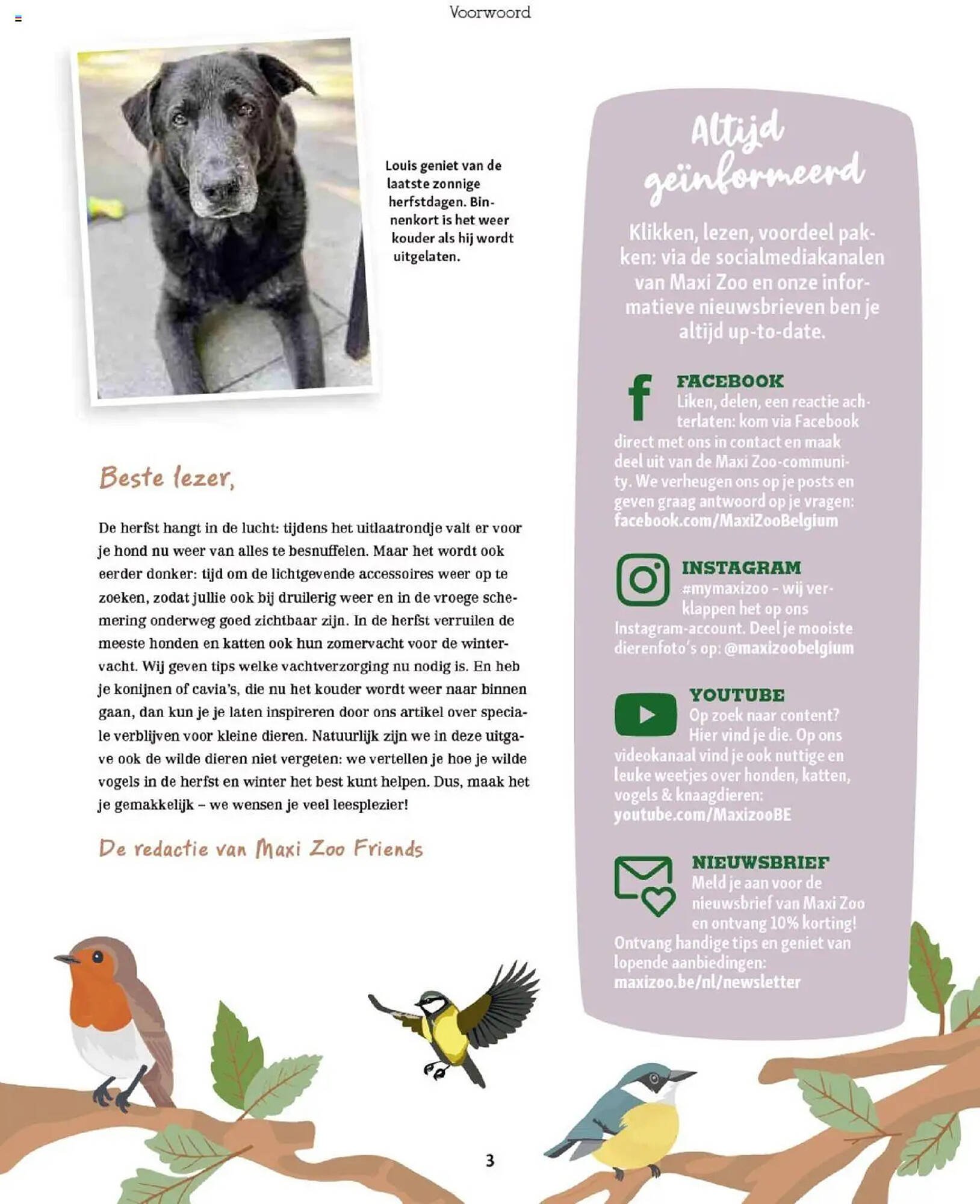 Maxi Zoo folder (2025-10-01 - 2025-12-01)