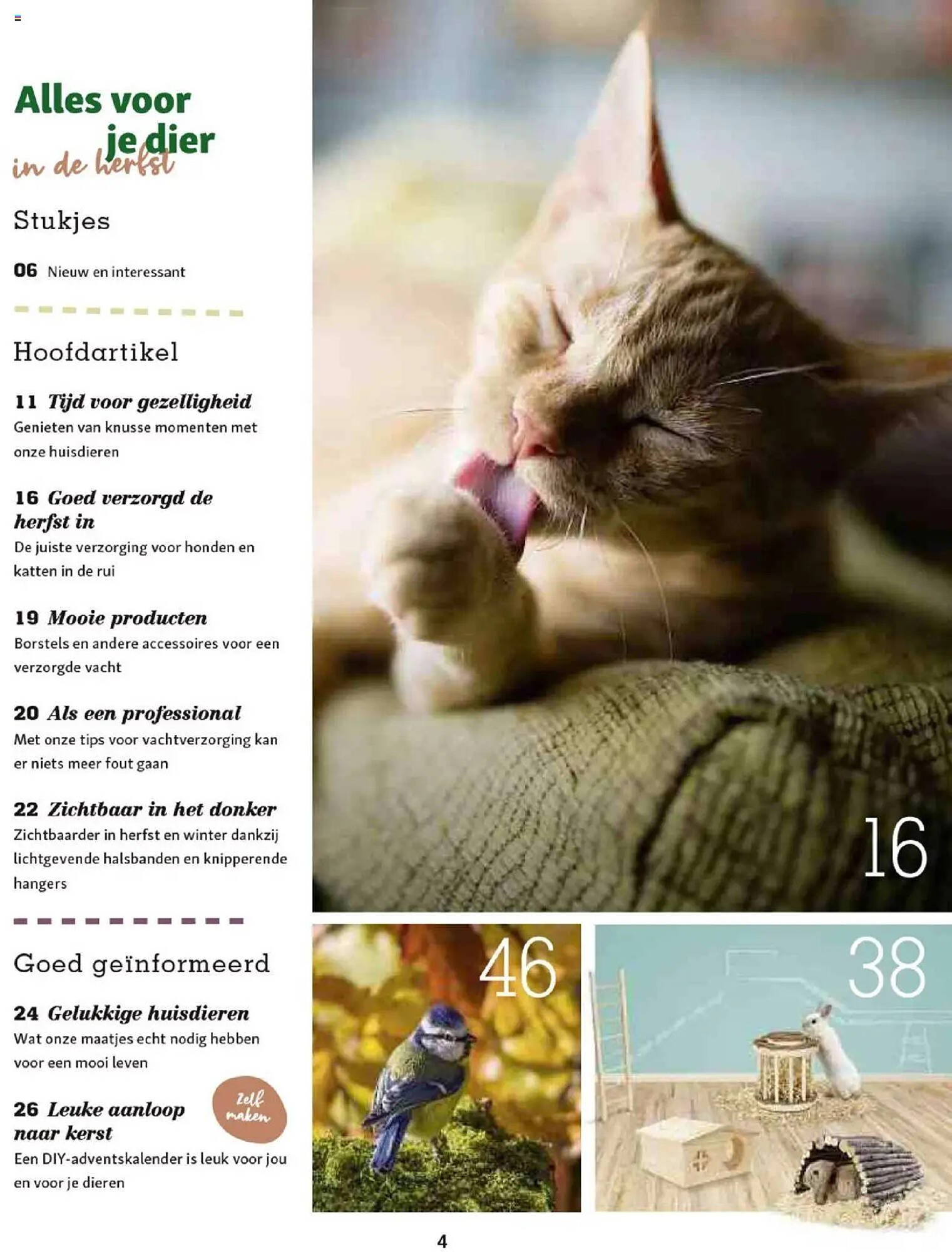 Maxi Zoo folder (2025-10-01 - 2025-12-01)