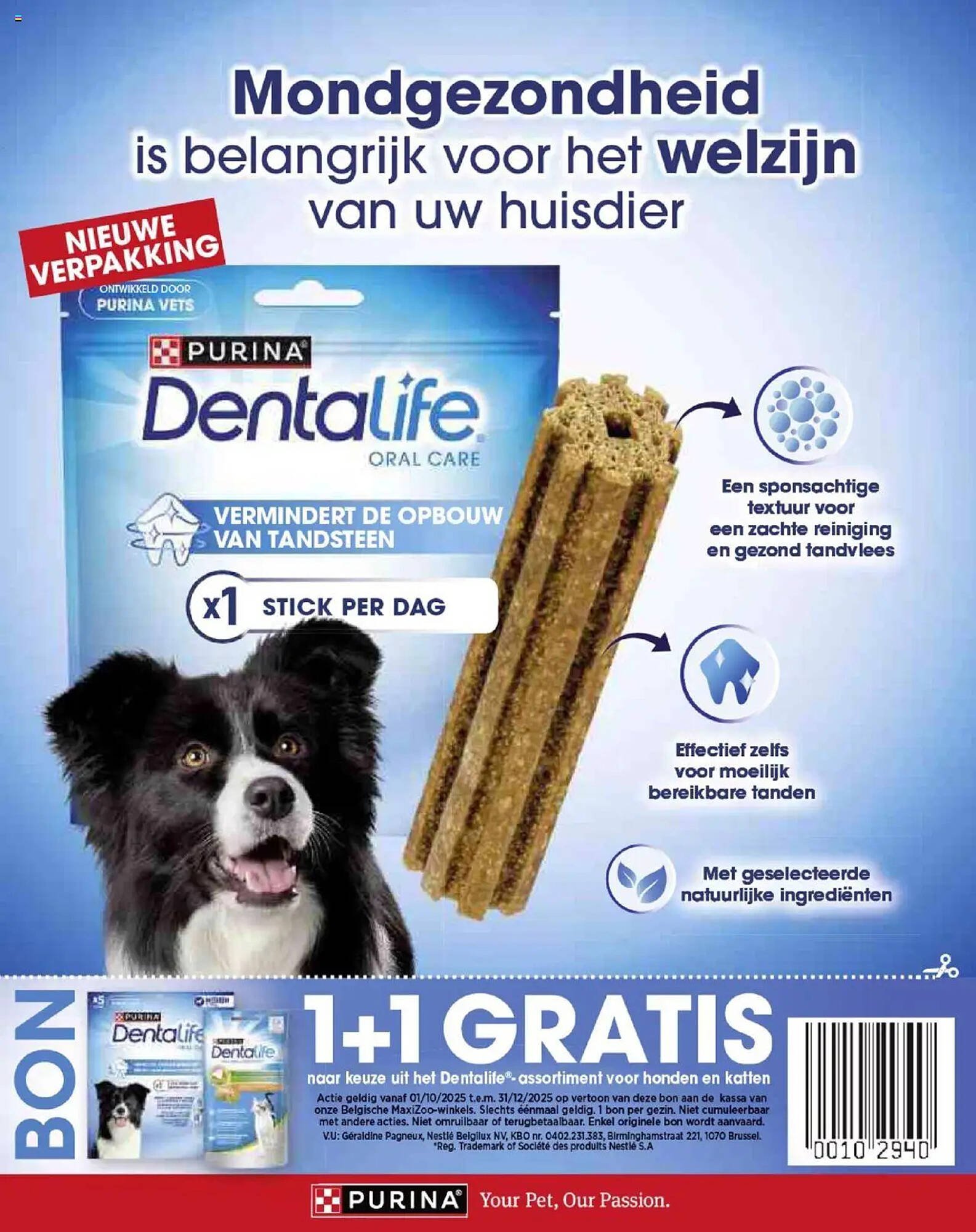 Maxi Zoo folder (2025-10-01 - 2025-12-01)