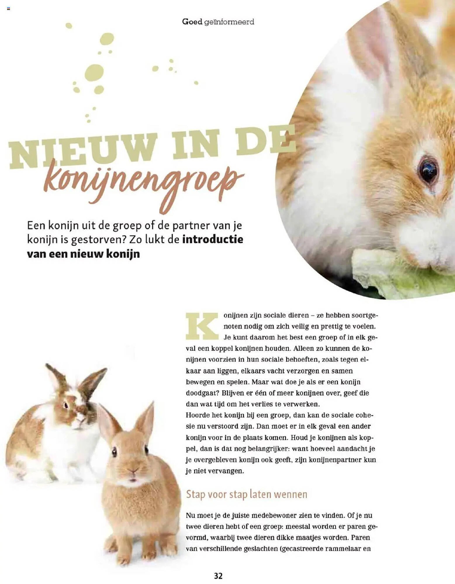 Maxi Zoo folder (2025-10-01 - 2025-12-01)