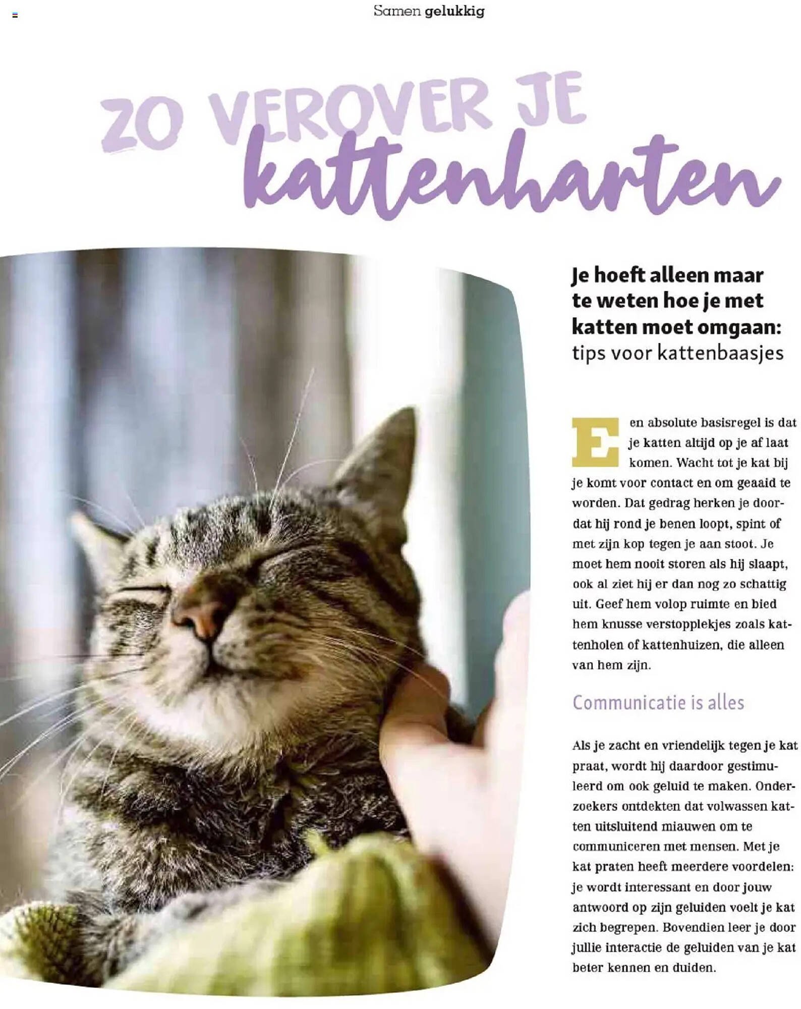 Maxi Zoo folder (2025-10-01 - 2025-12-01)