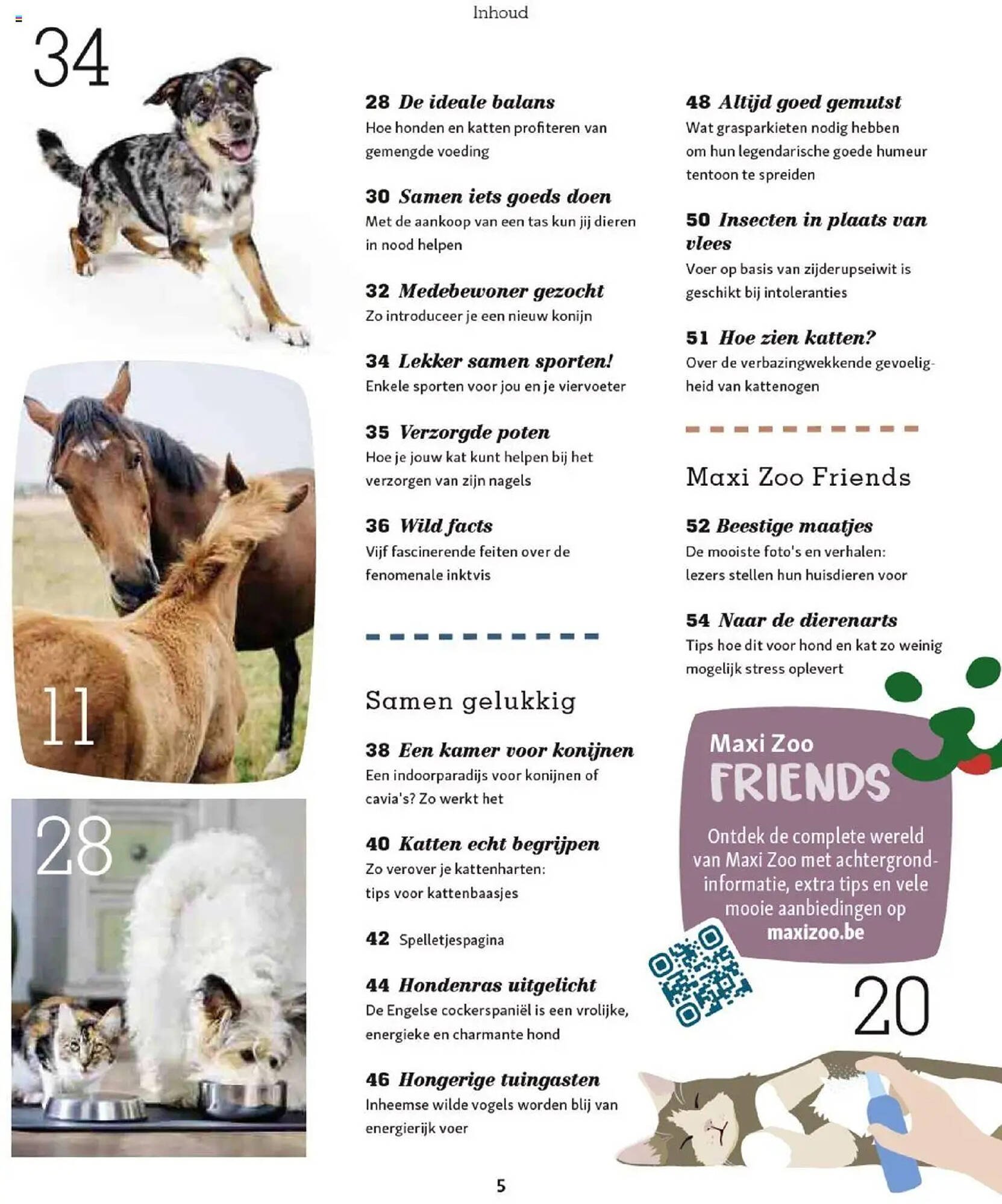 Maxi Zoo folder (2025-10-01 - 2025-12-01)