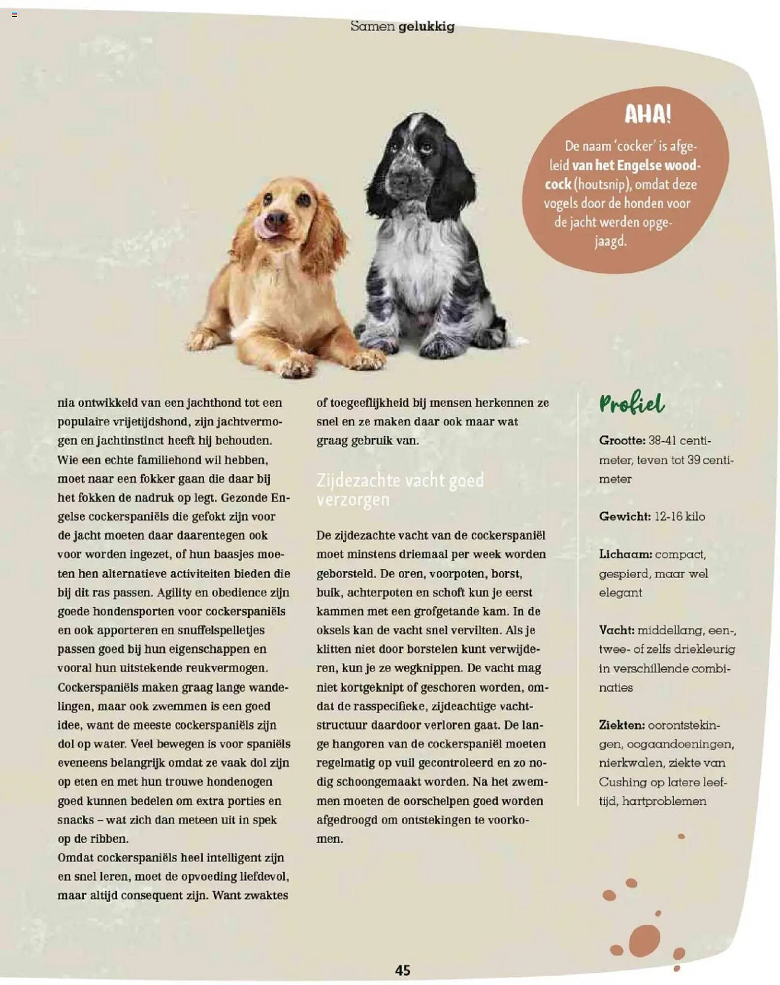Maxi Zoo folder (2025-10-01 - 2025-12-01)